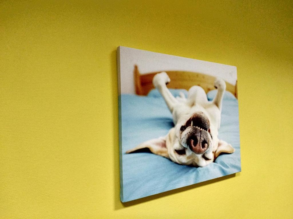 Фото Точка Авиамоторная