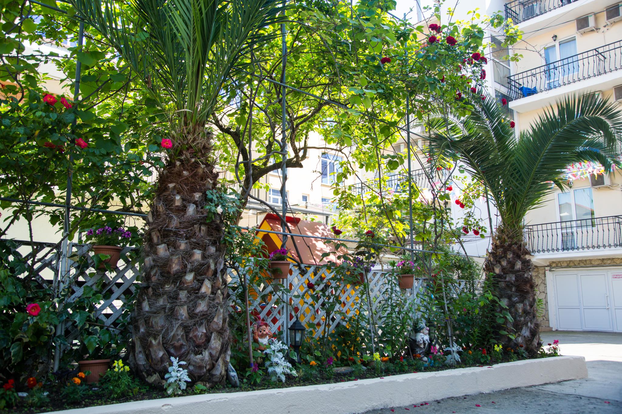 Фото Эв Рошель