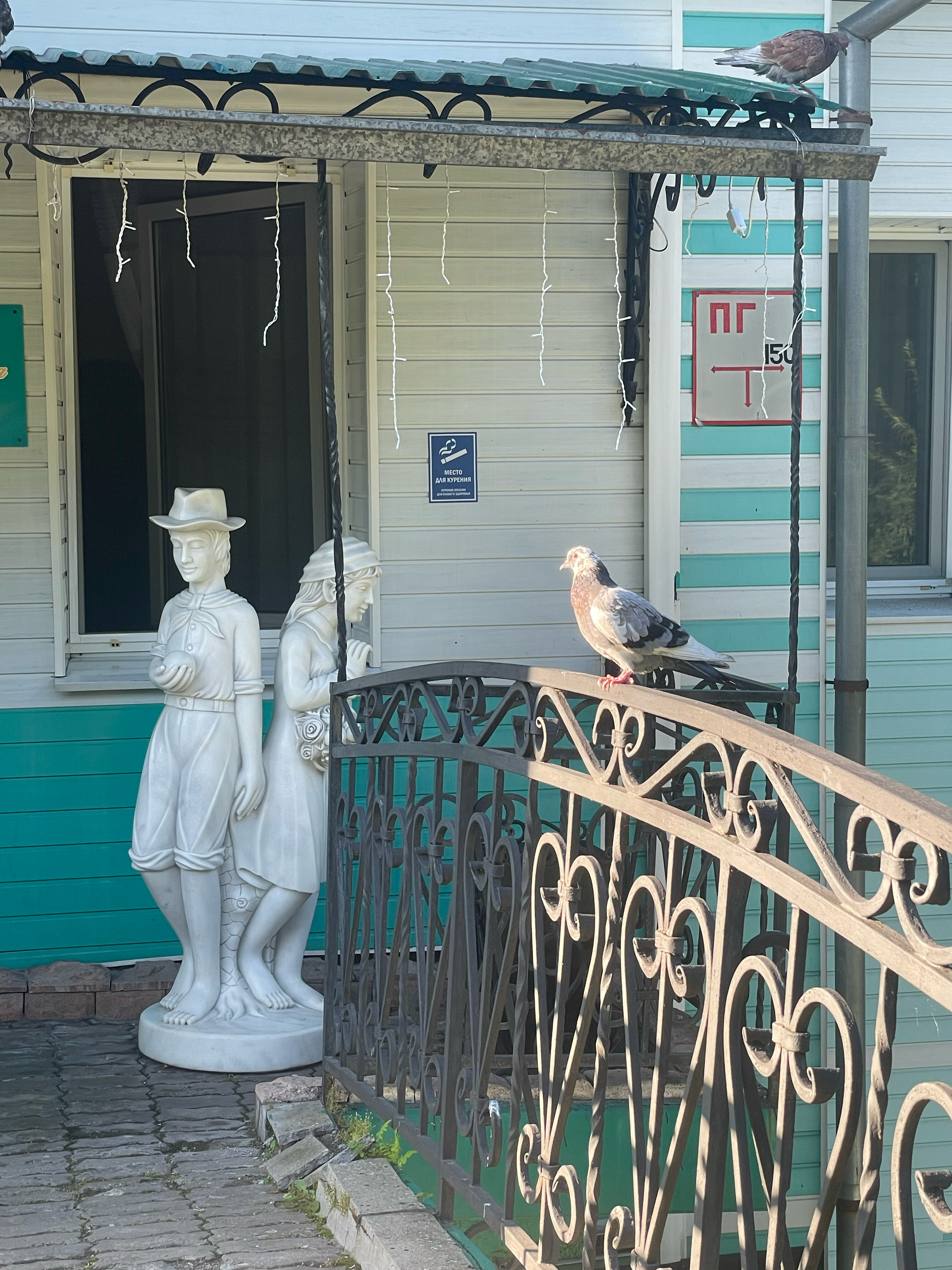 Фото Графская усадьба