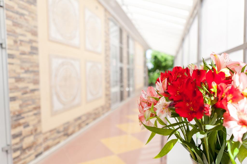 Фото Тизори