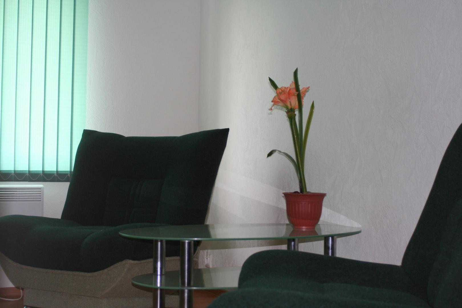 Фото Гостиница Свечинский