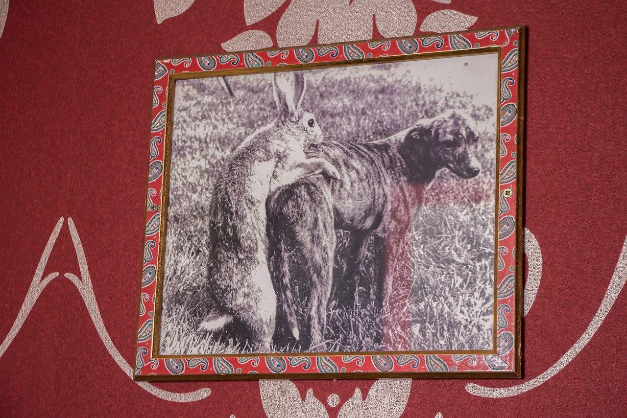 Фото Hamilton's Bed & Breakfast