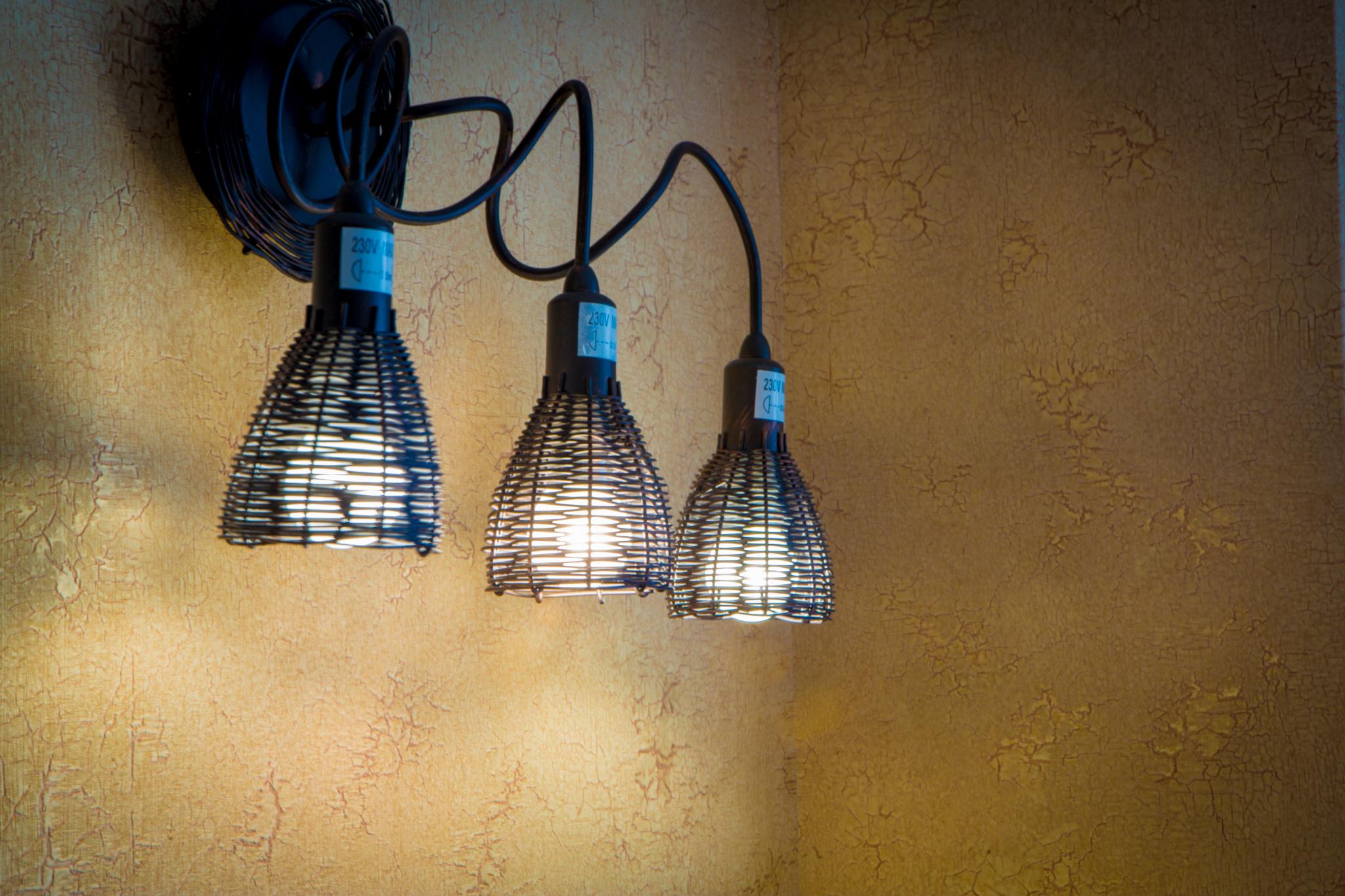 Фото Комендантская Дача