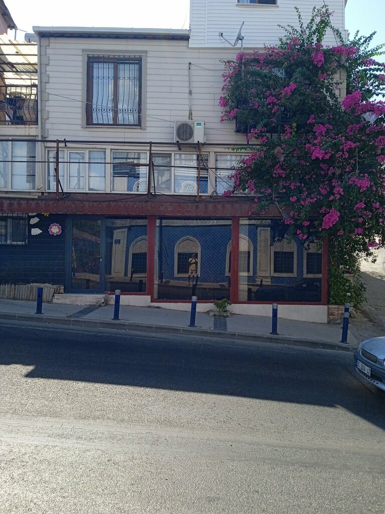 Web design studio Arena Web Tasarim, Izmir, photo