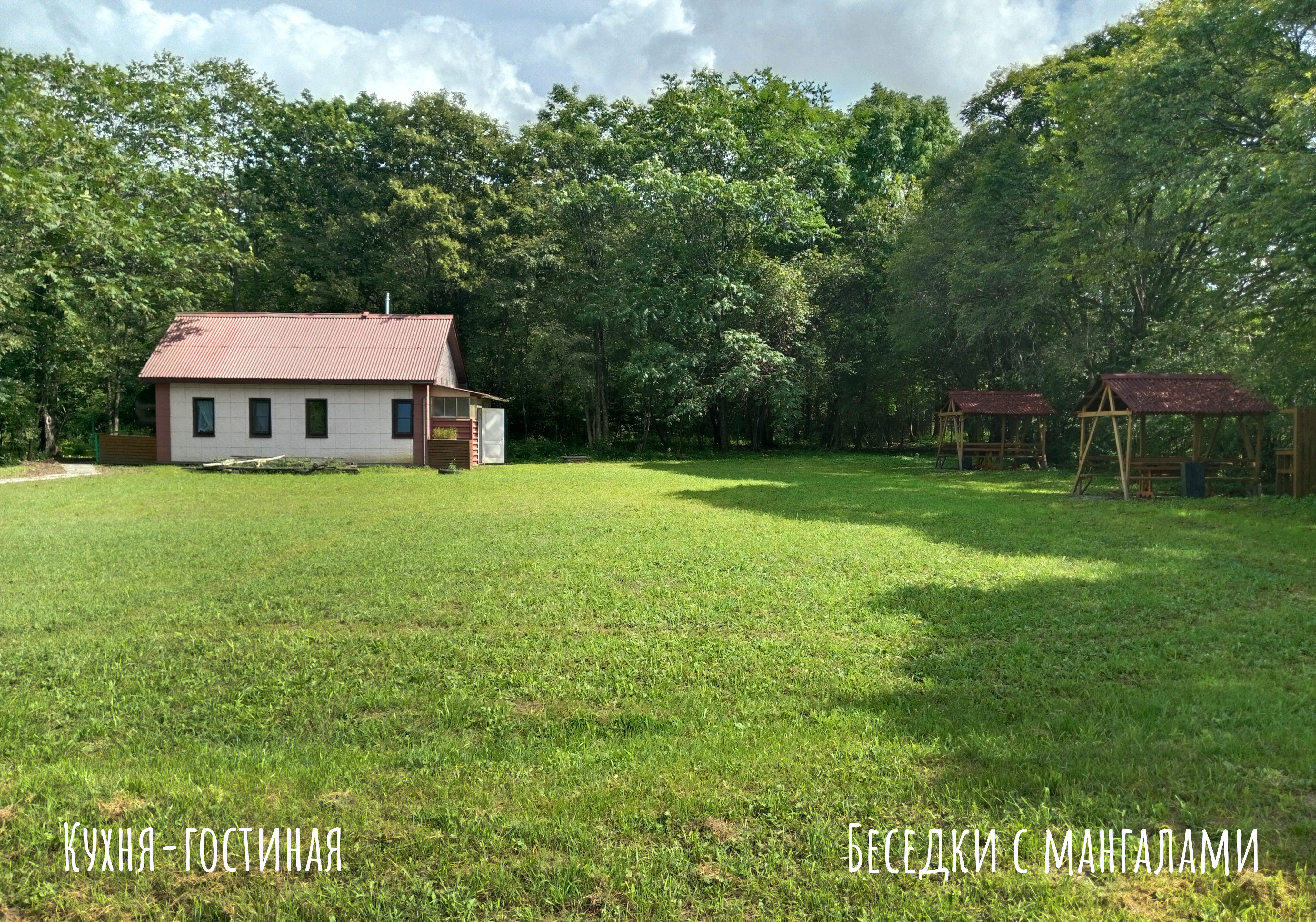 Фото Пидан-Царевич