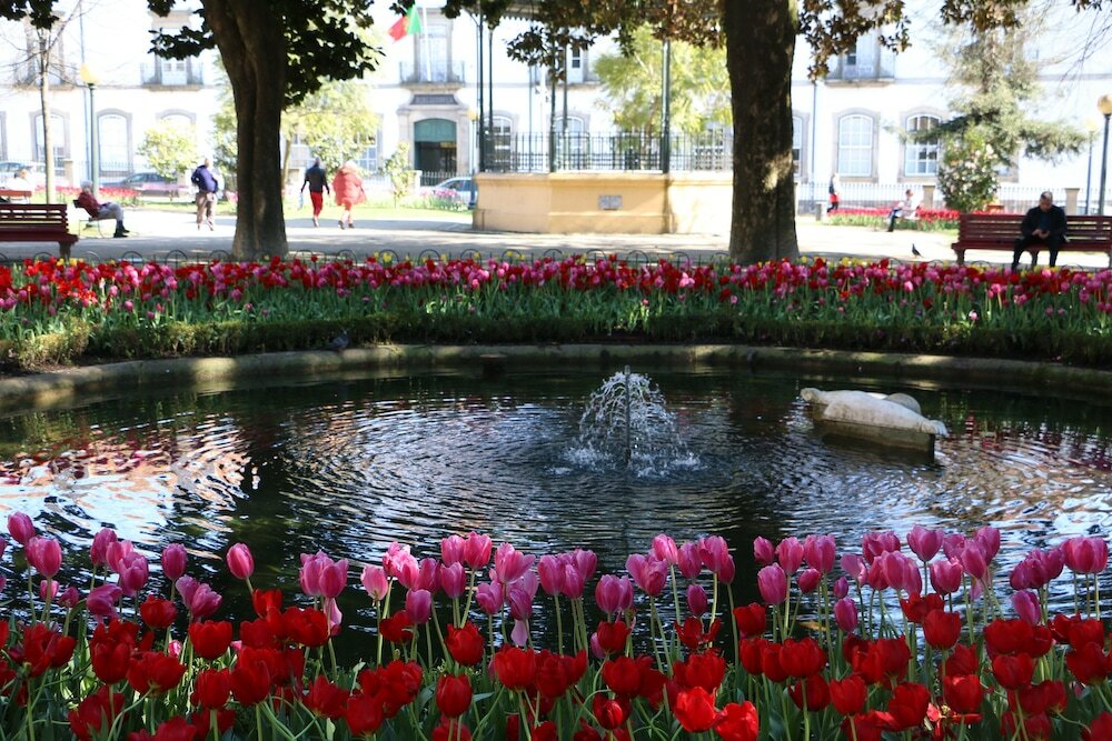 Фото 43313495385