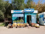 Tabys (11th microdistrict, 25Г), greengrocery
