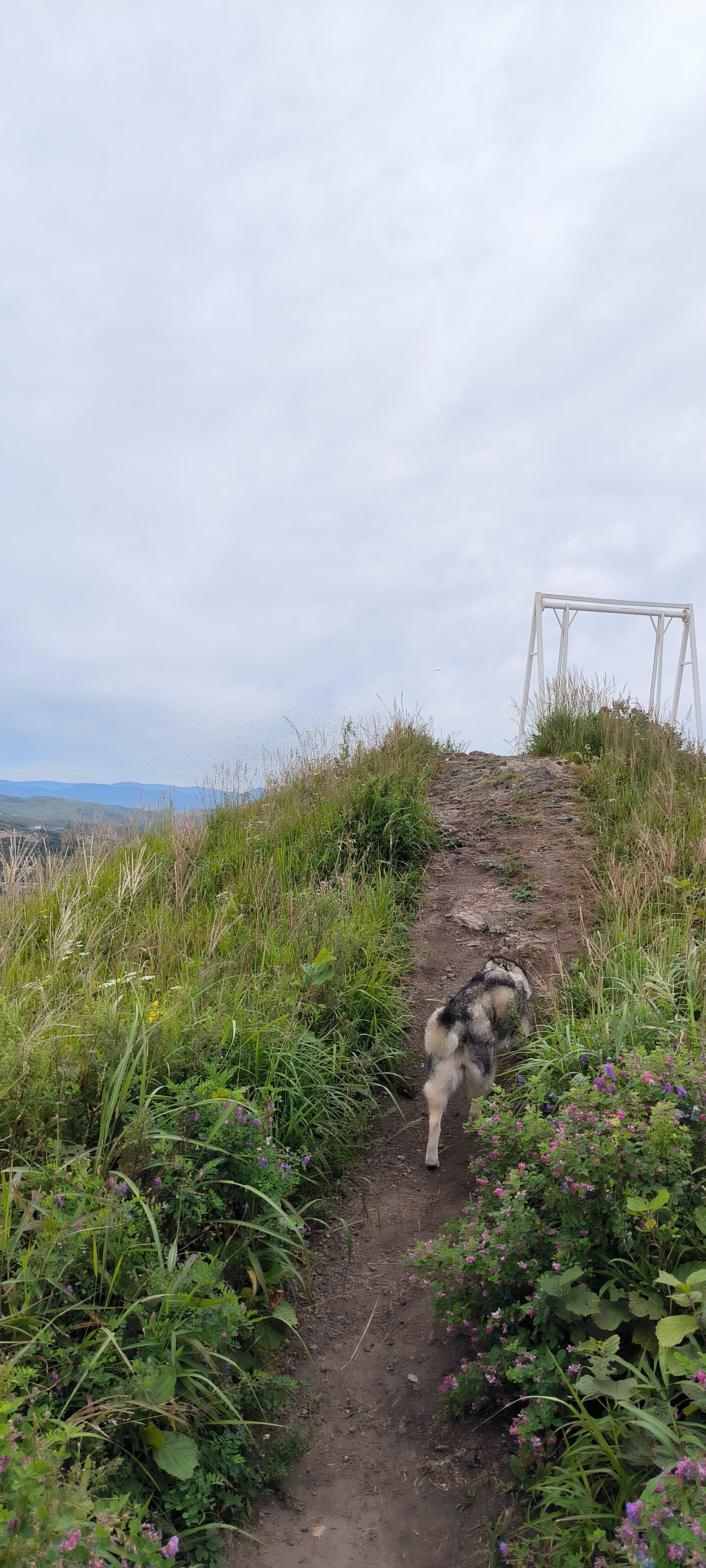 Фото Гружевские