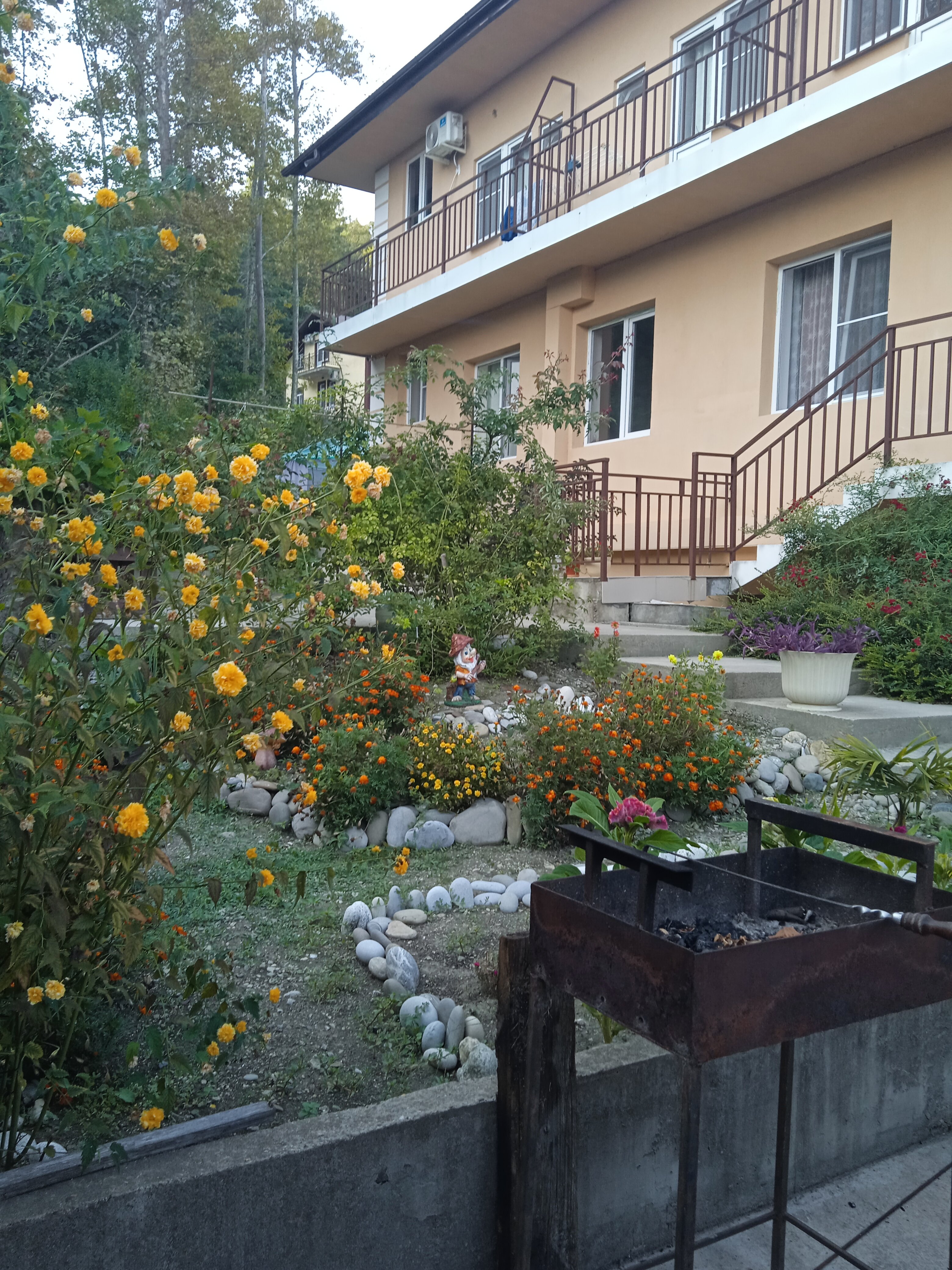 Фото Томичка