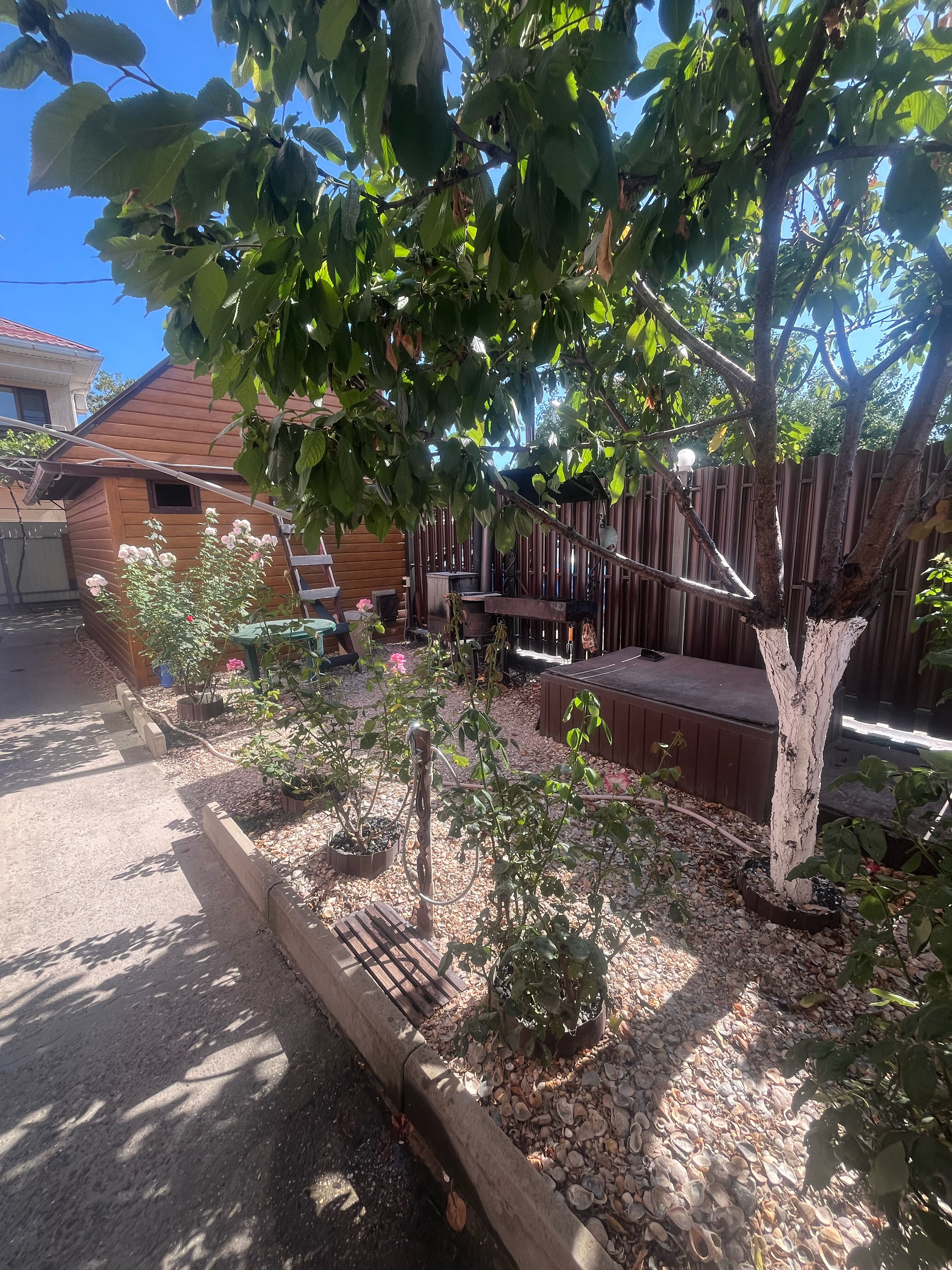 Фото У Саныча