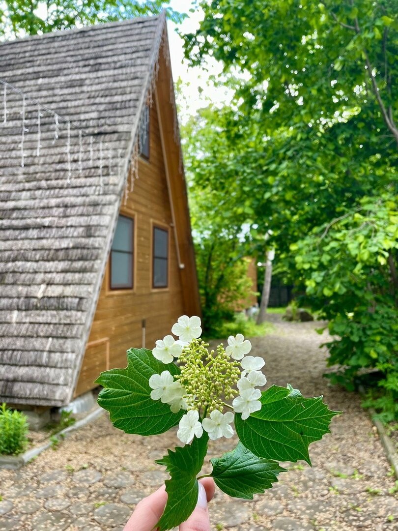Фото Теремки у реки по дороге на Архыз