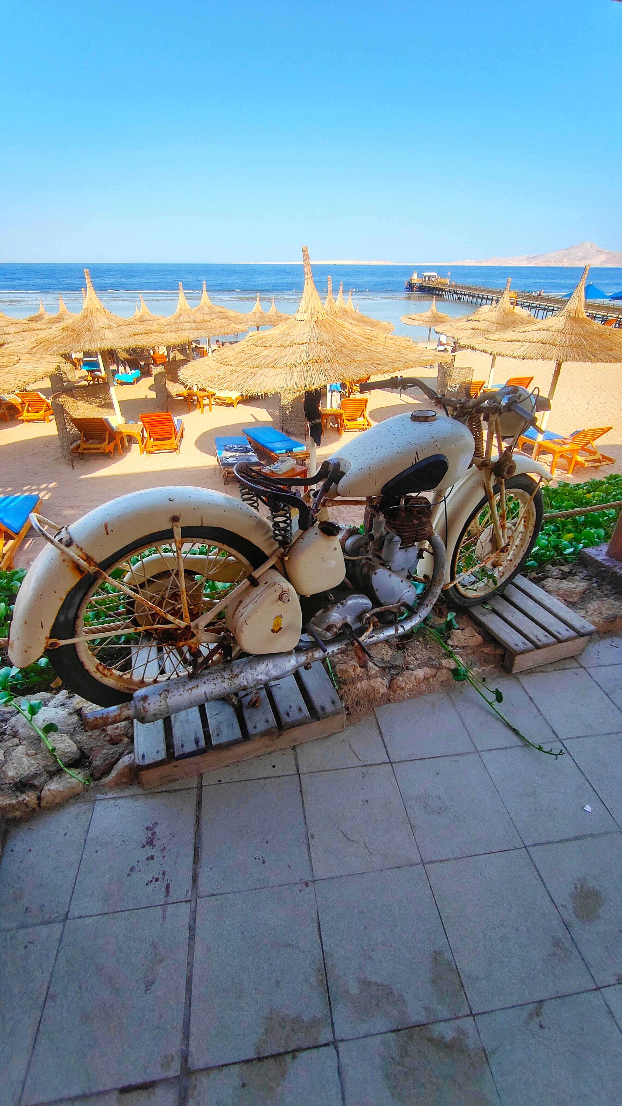 Фото Cleopatra Luxury Resort Sharm El Sheikh