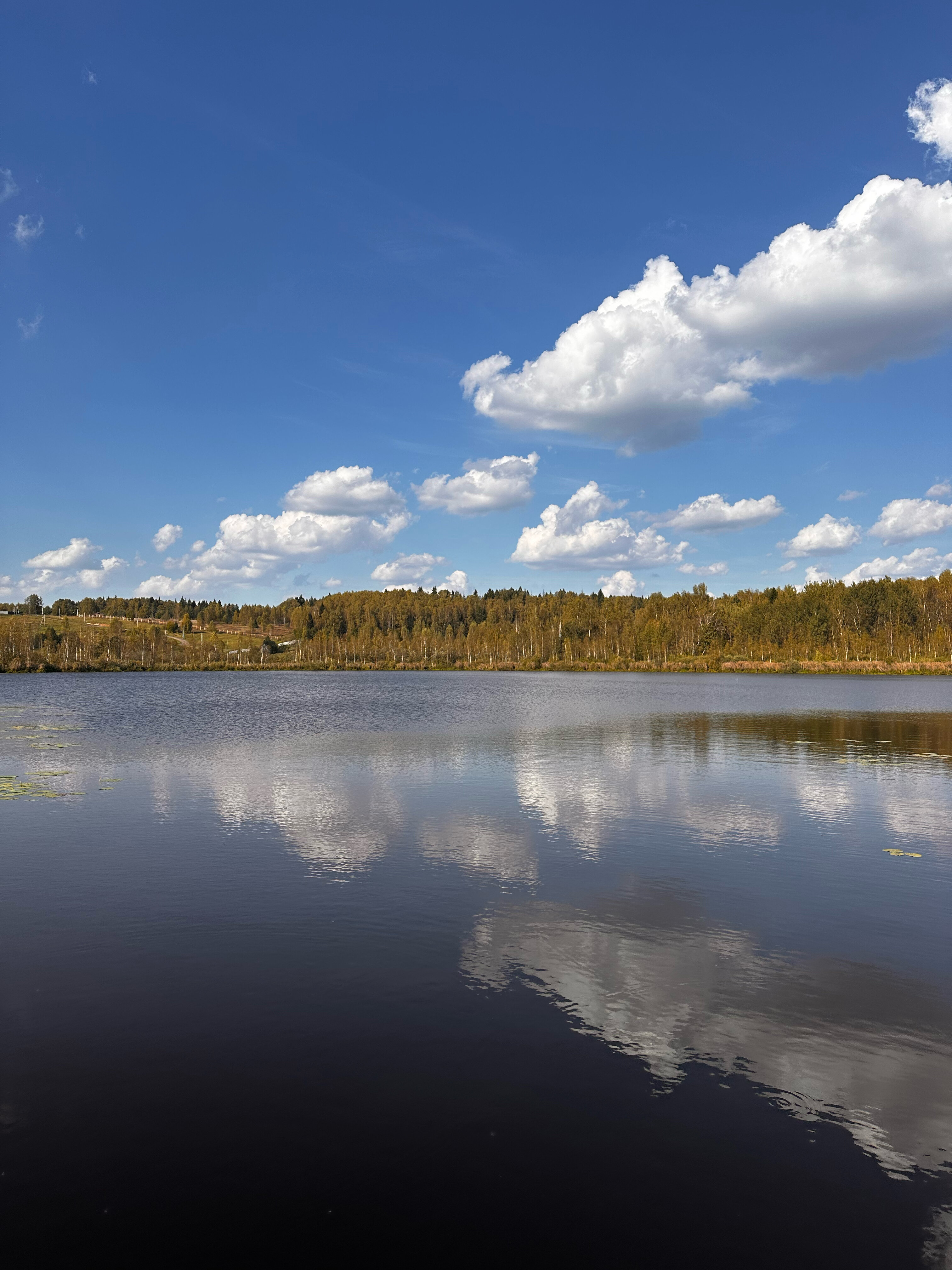 Фото Таймлесс