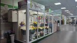 Цветочный магазин (Kromskoye shosse, 23) ، محل زهور