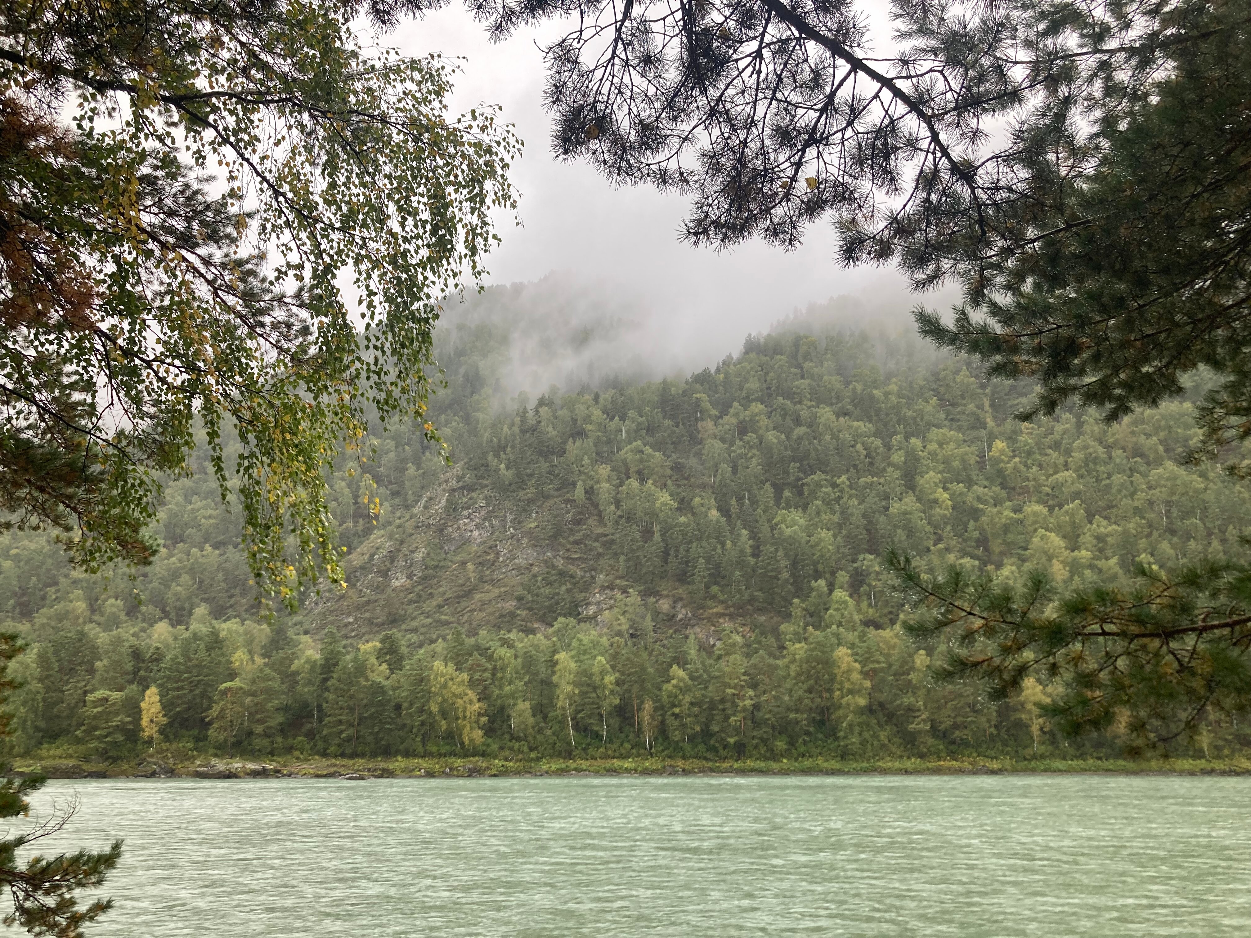 Фото Усадьба Славная