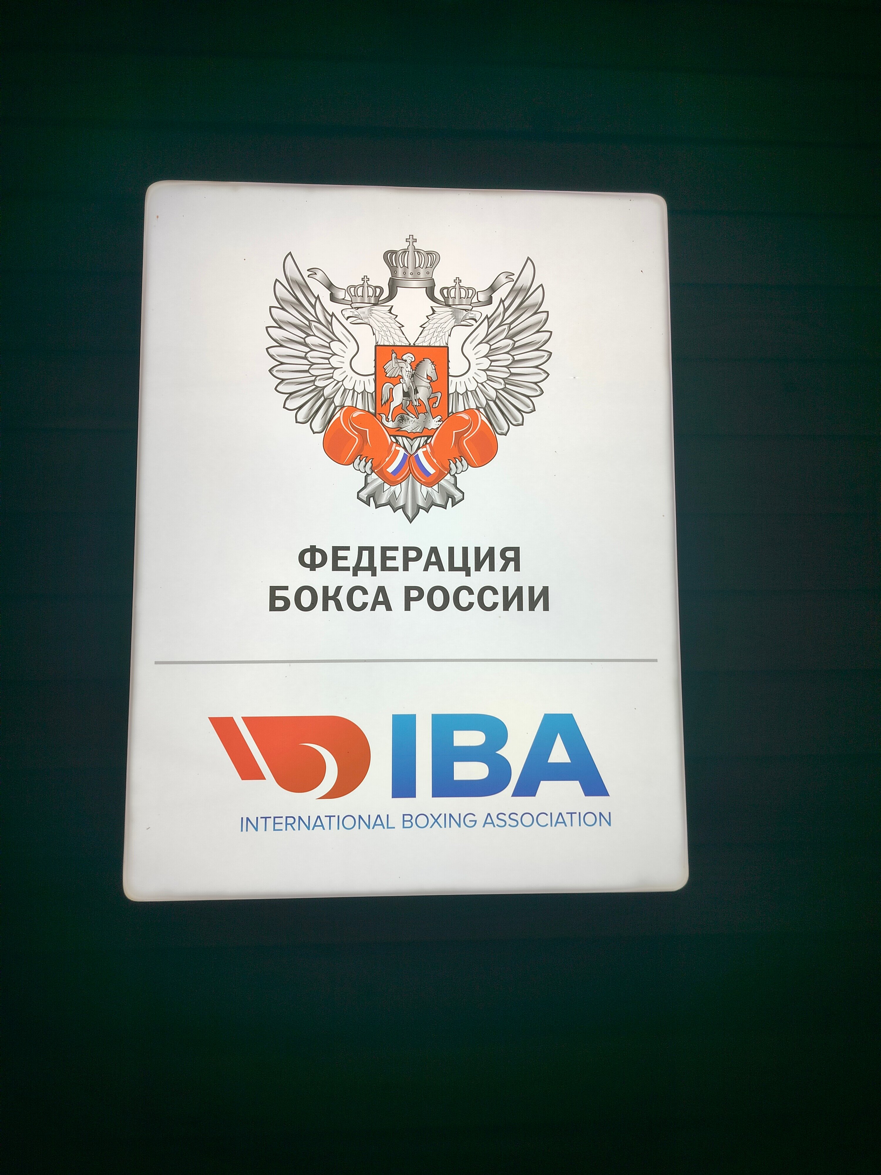 Фото Лесная опушка