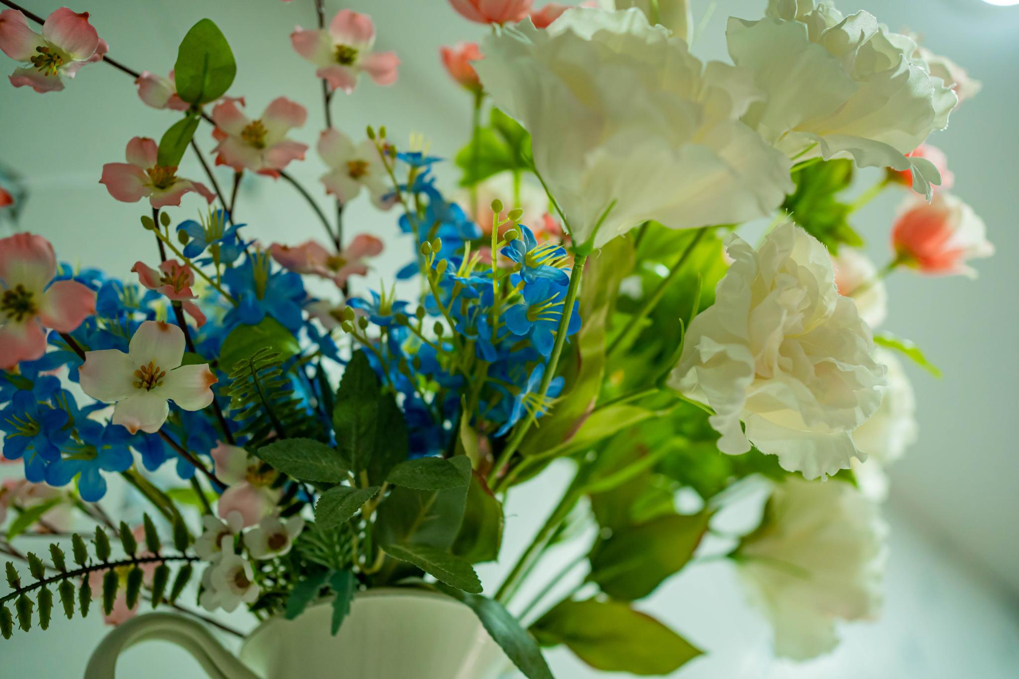 Фото Отель Олимп