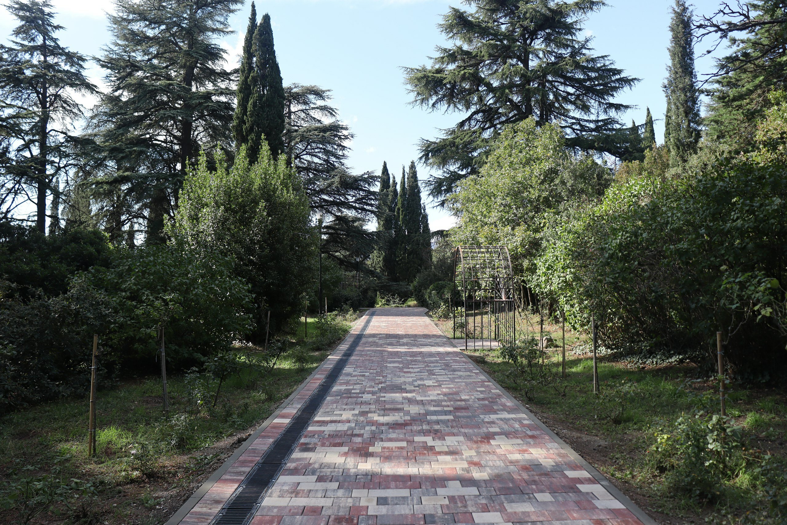 Фото Рапана