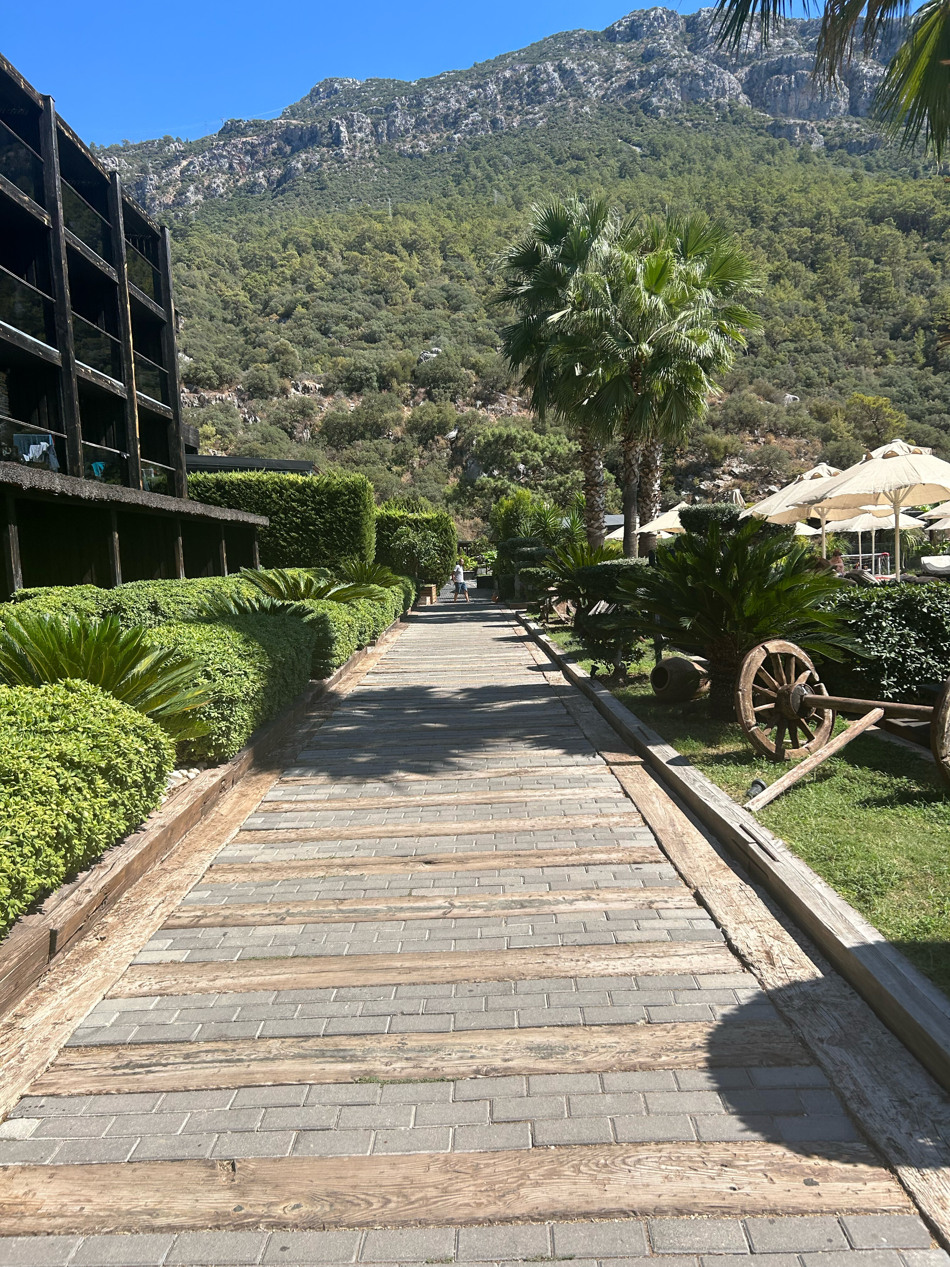 Фото Manaspark Deluxe Hotel Ölüdeniz