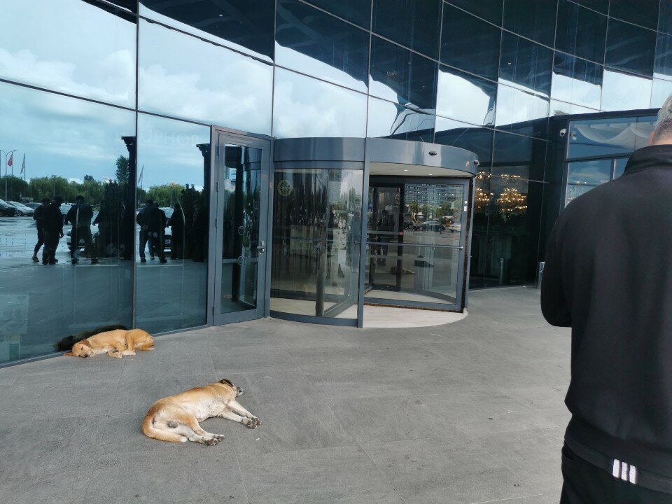 Фото Euphoria Hotel Batumi