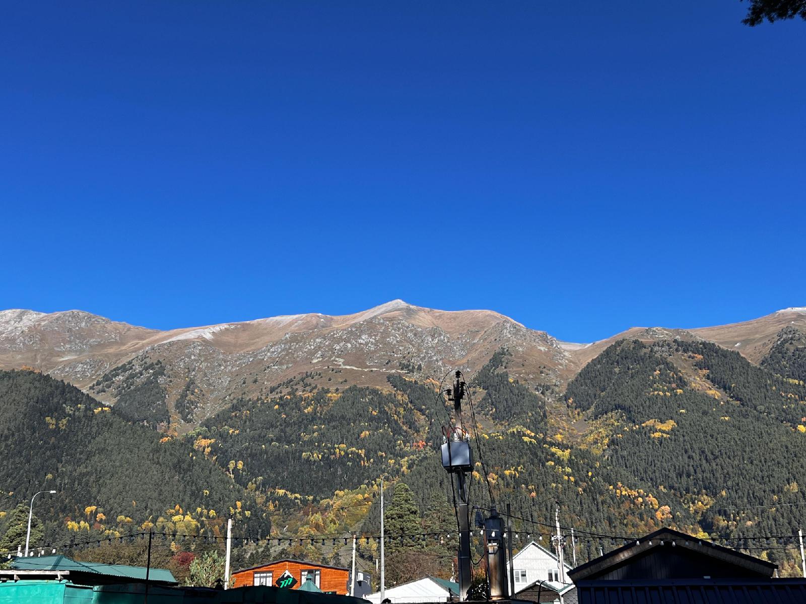 Фото Сосновый рай