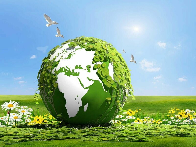 Environmental organization Metas Environmental Consultancy Engineering, Adapazari, photo