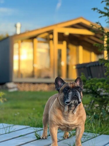 Дом в аренду Garnet Holiday Мир в Сельском поселении деревне Совьяки