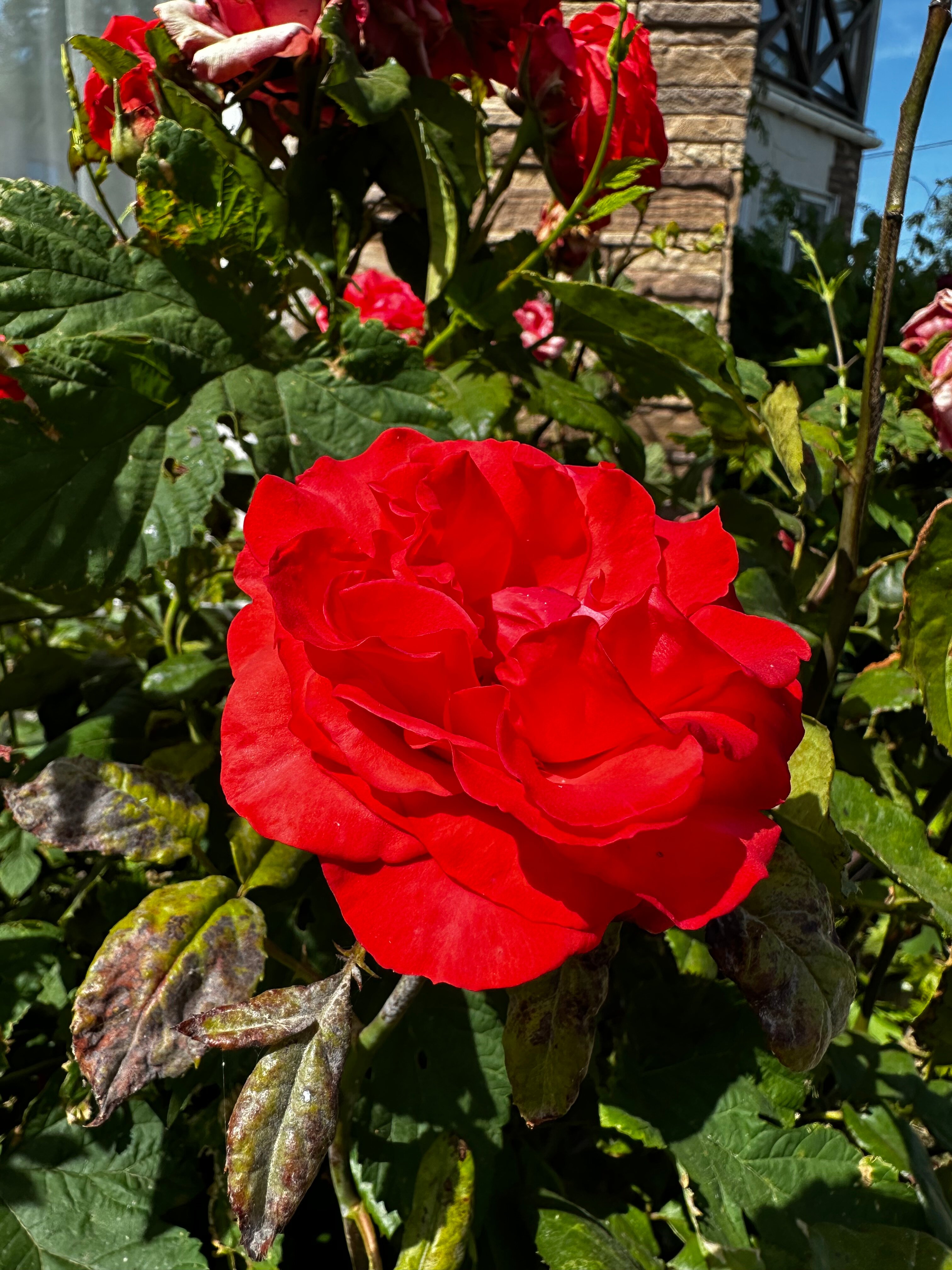 Фото Дом у моря