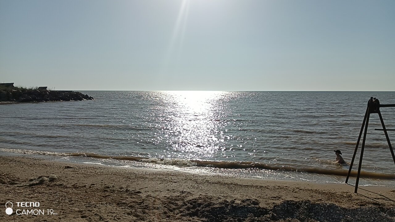 Фото 38 Попугаев