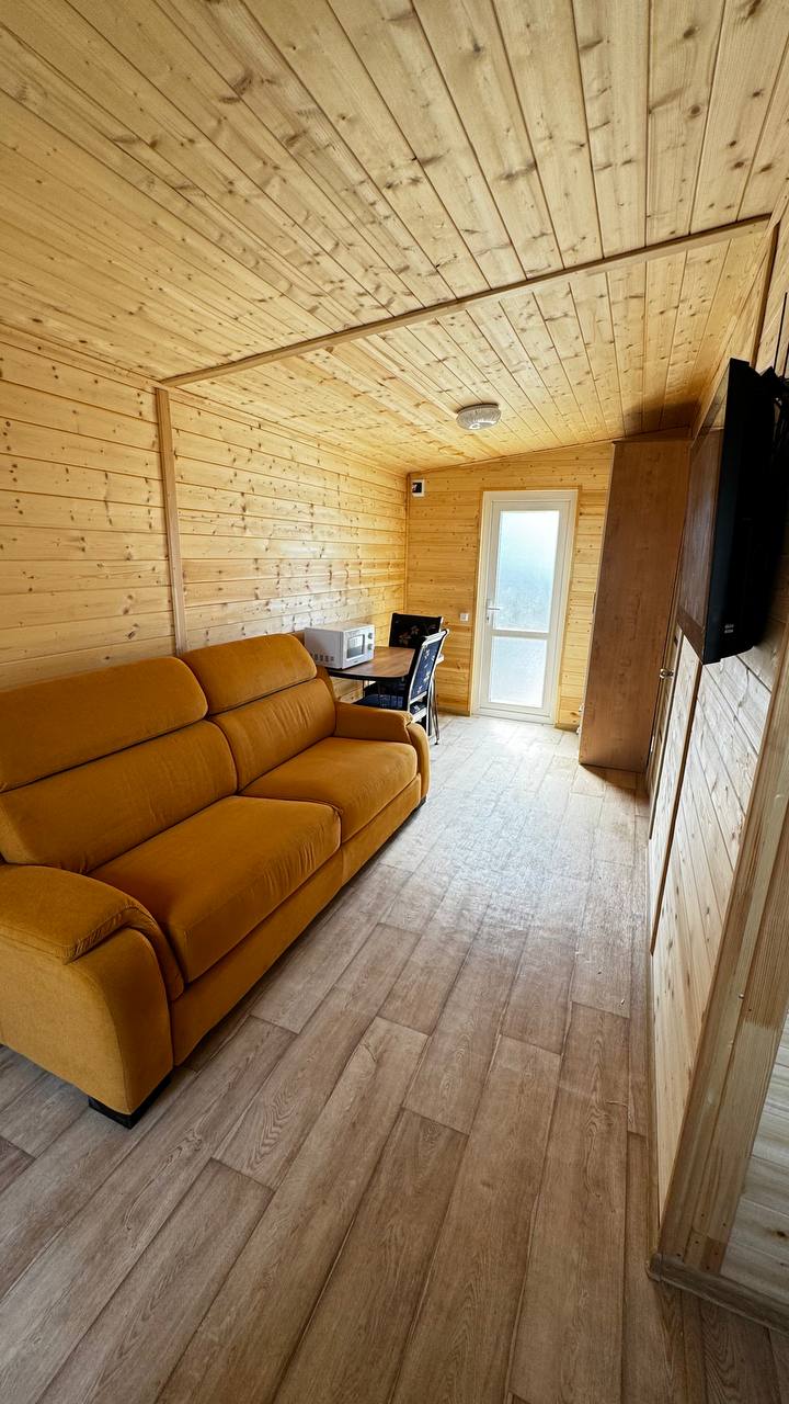 Фото Песок и дельфины