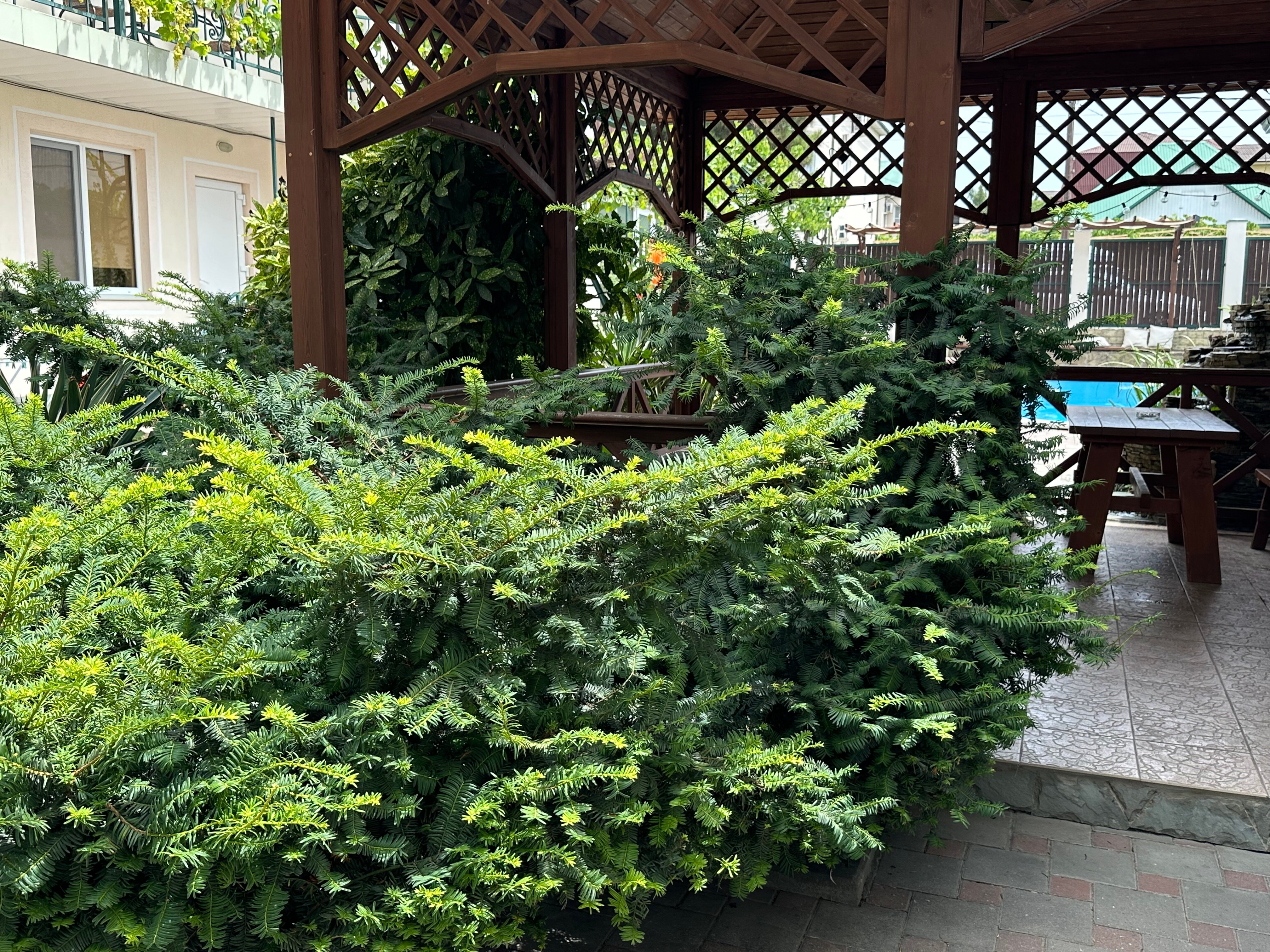 Фото Вилла Терраса