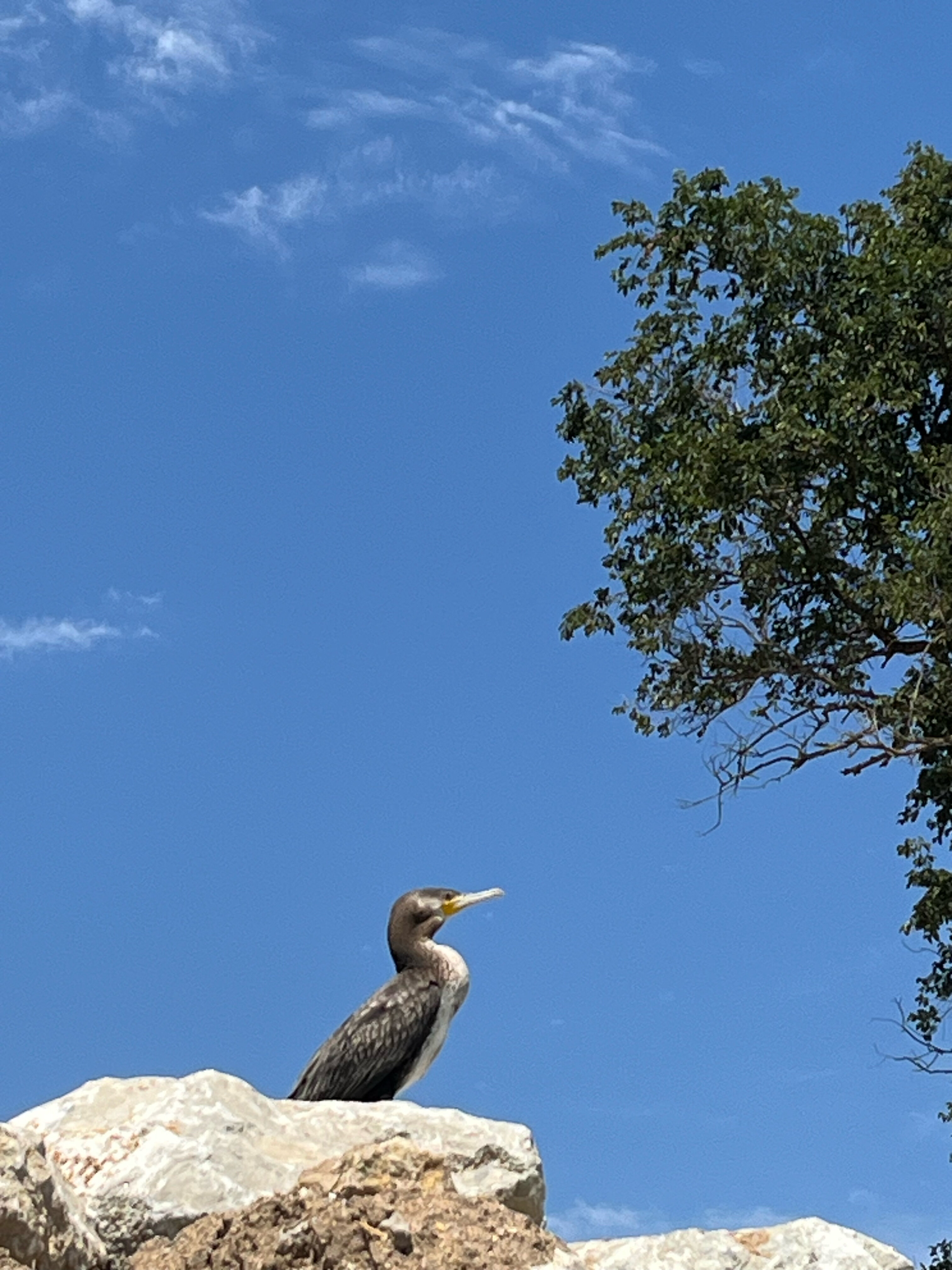 Фото Место Встречи