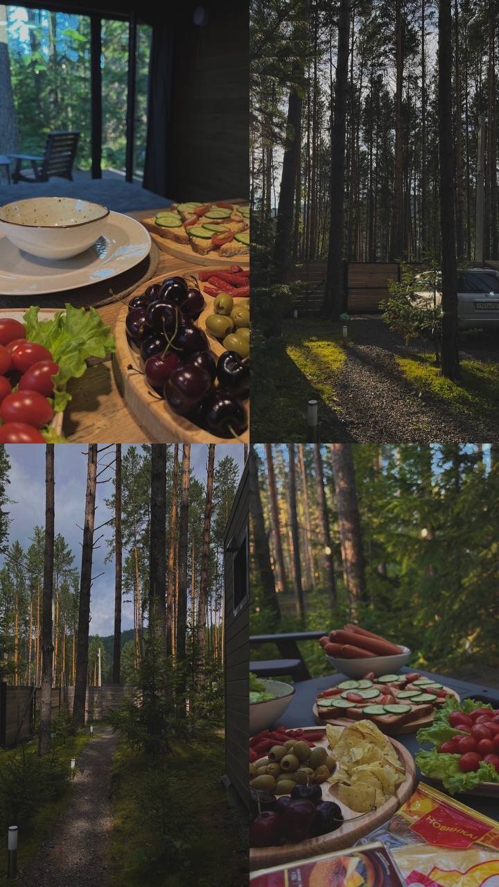 Фото Ёлки да Сосны