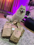 Mr. FrankFood (Sadovaya ulitsa, 4) ، متجر للحيوانات الأليفة
