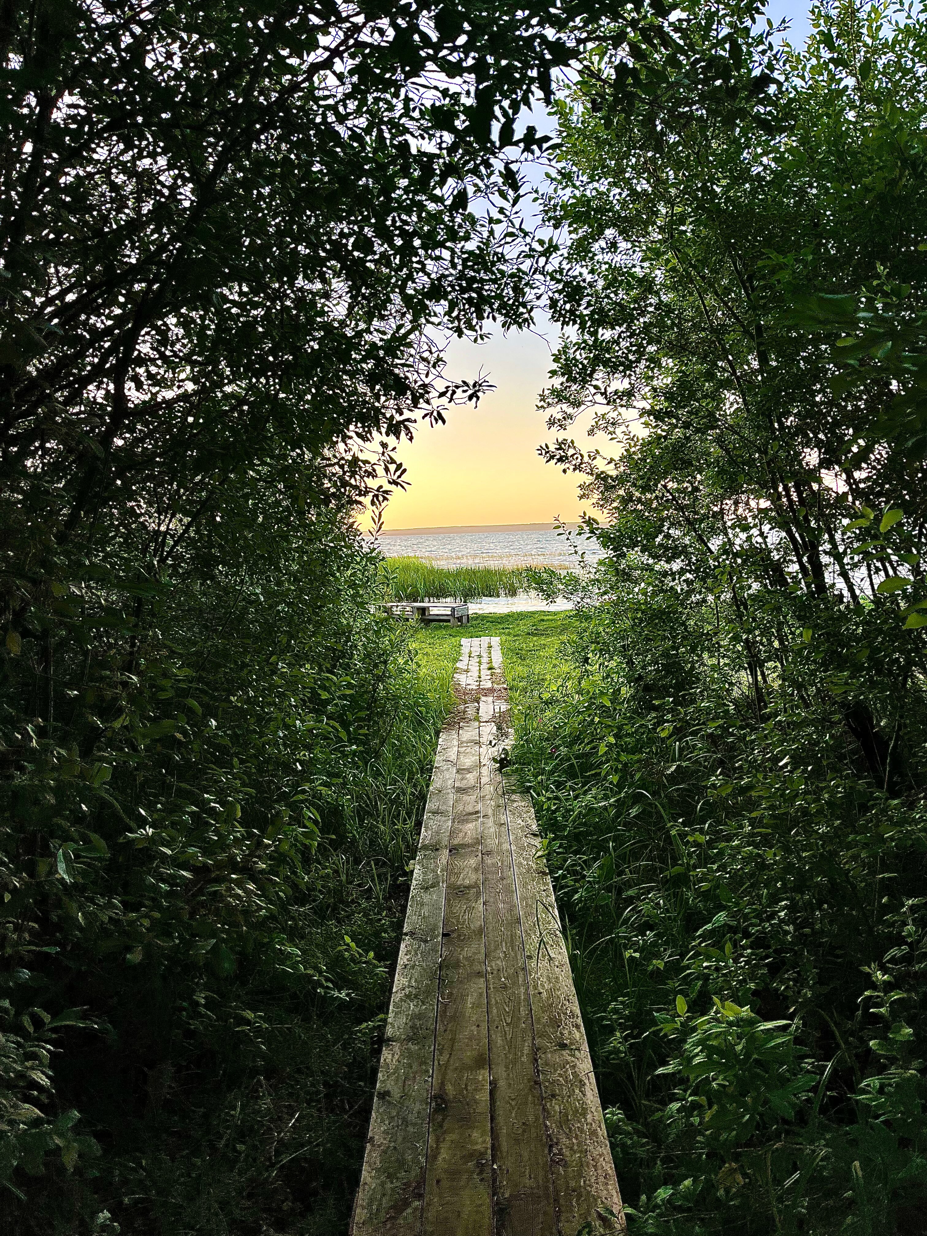 Фото Дом на дереве