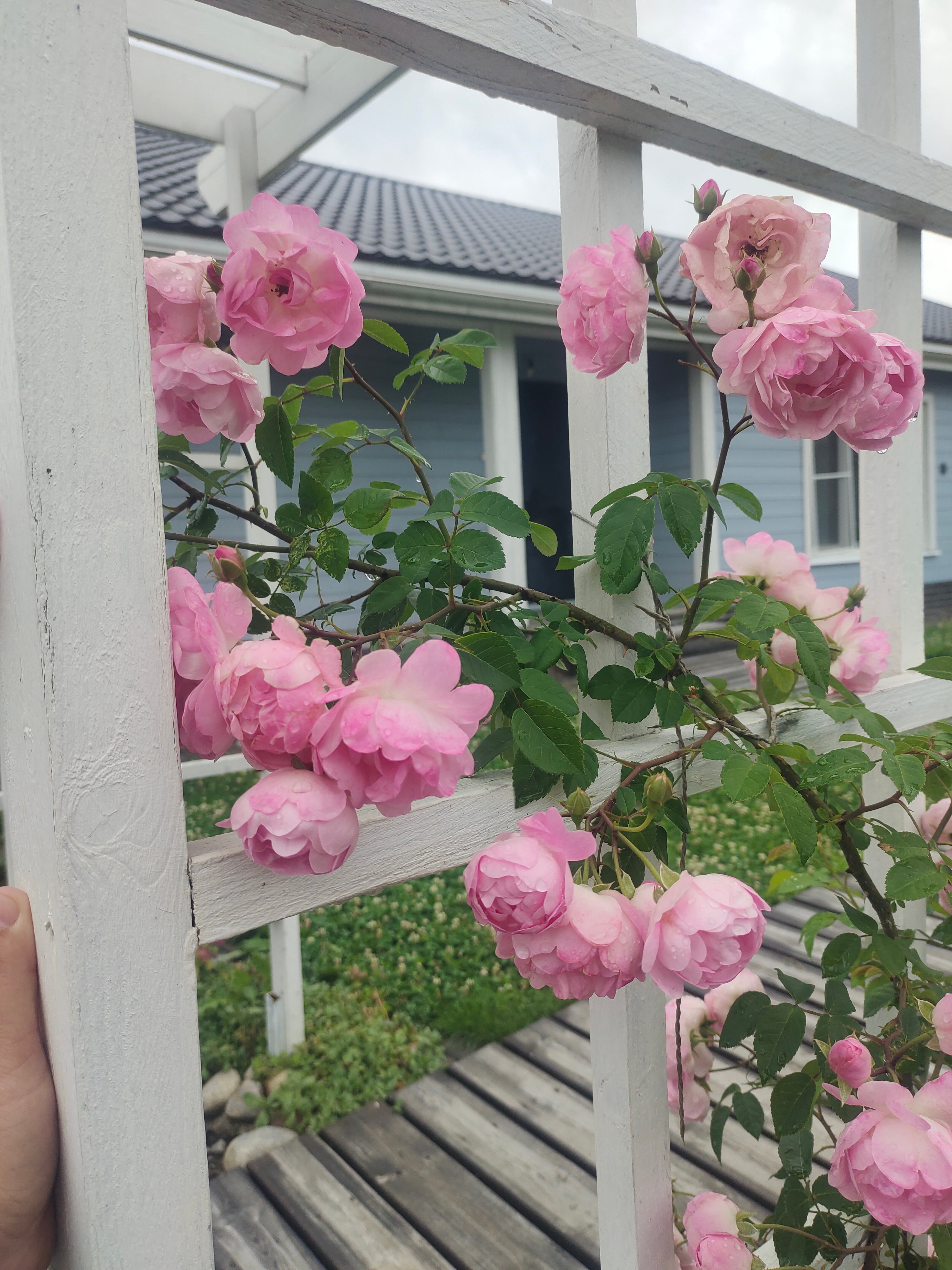 Фото Уютный Домик