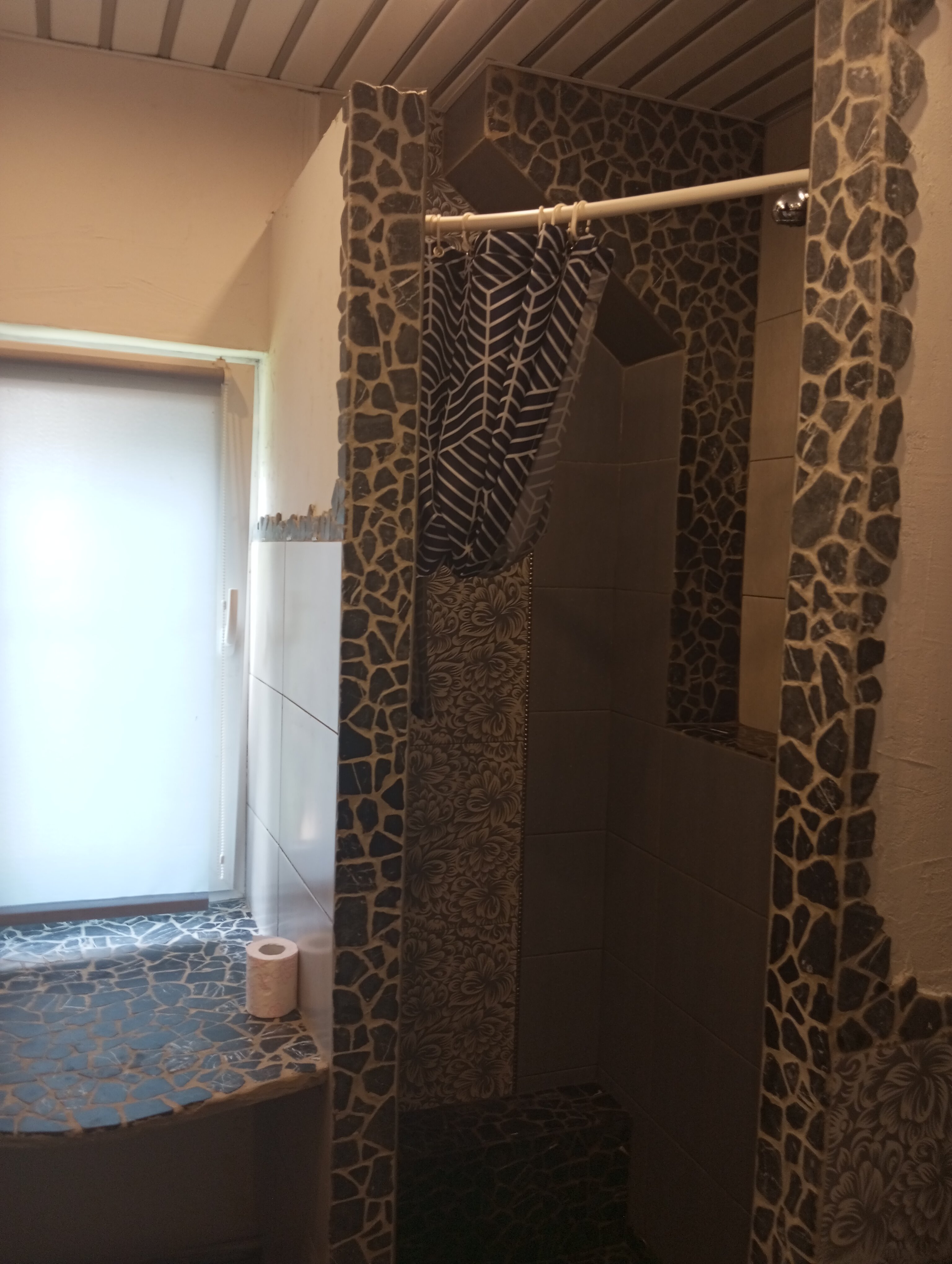 Фото Ёлки на горке