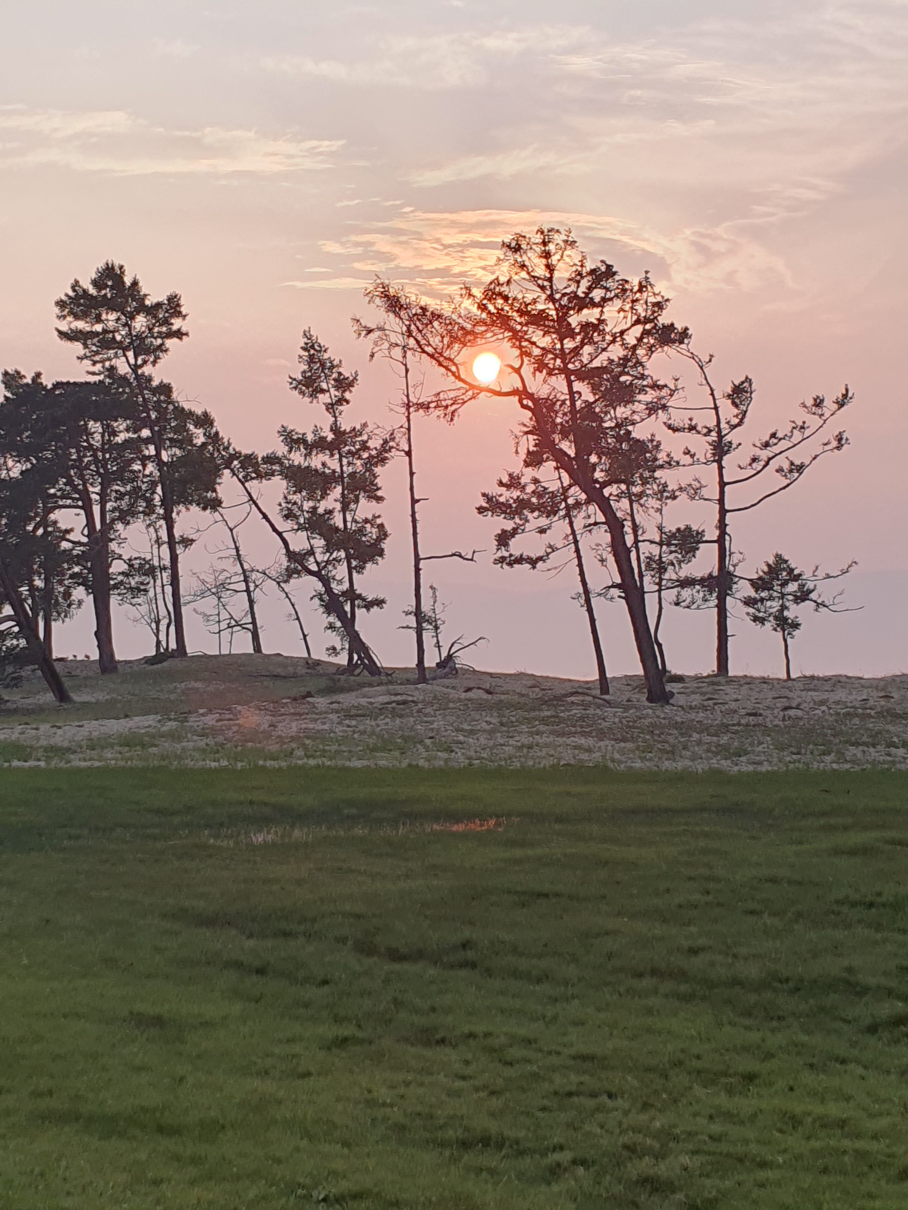 Фото СаМиТа