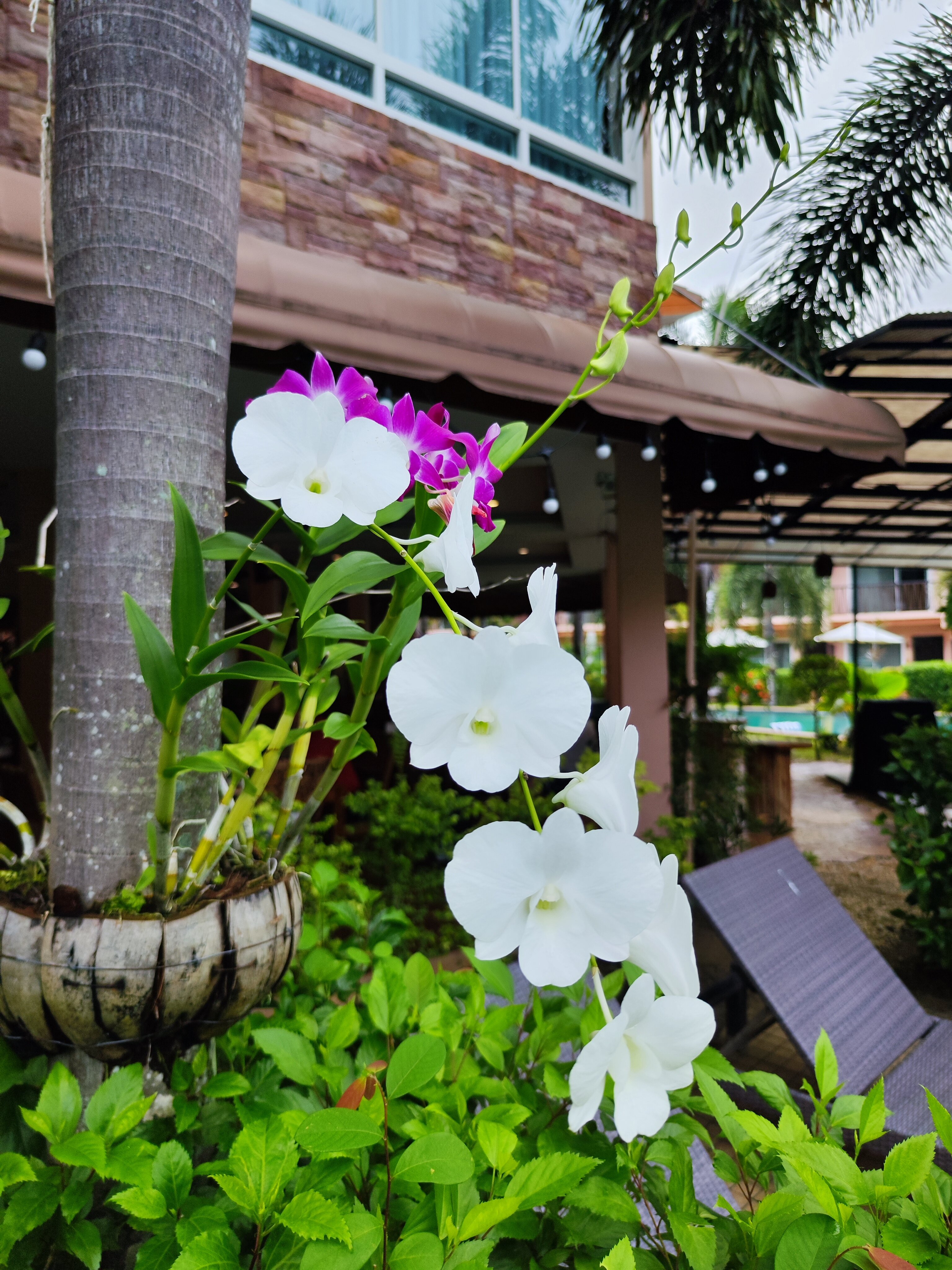 Фото Chivatara Resort & SPA Bang Tao Beach Phuket