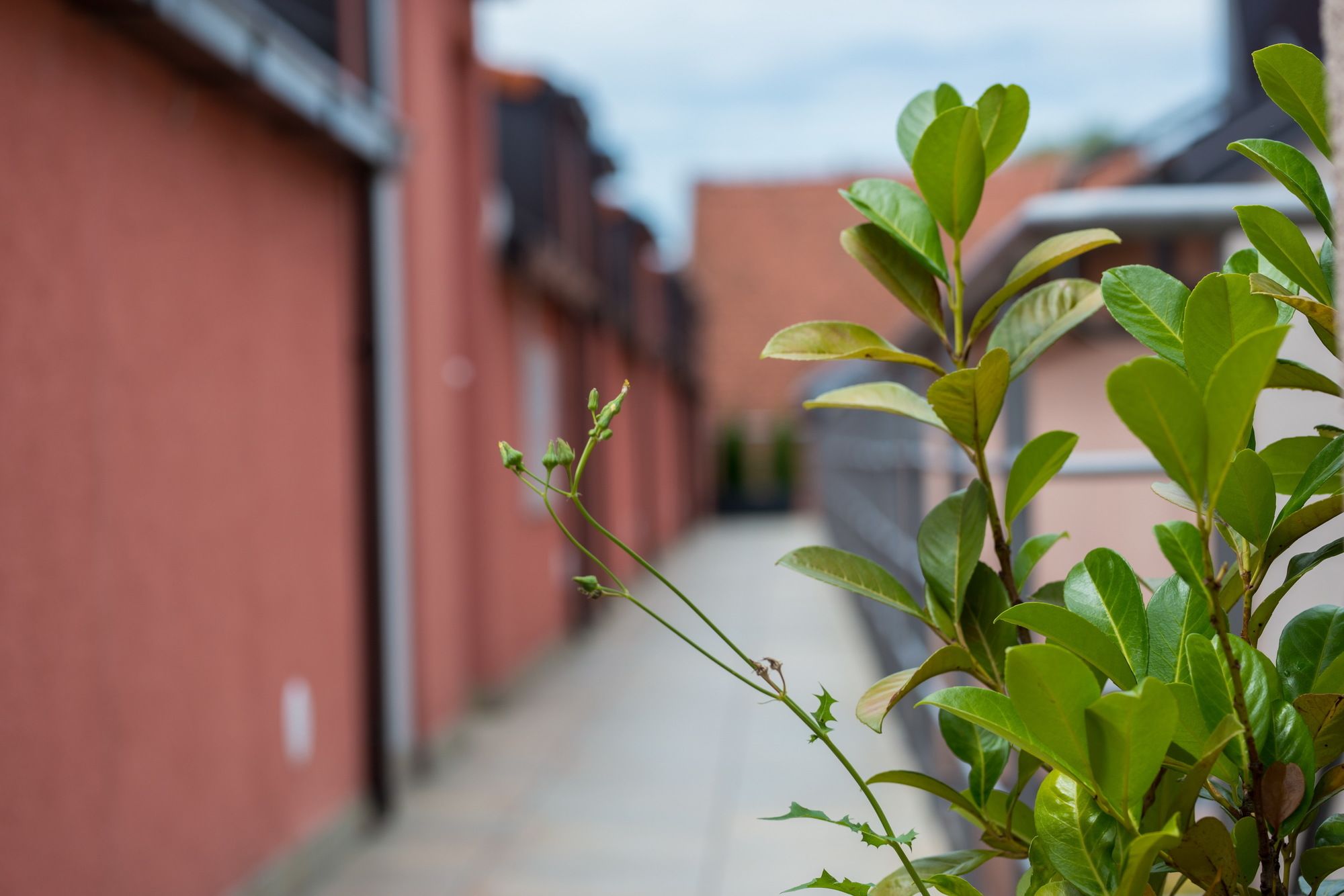 Фото Hotel & Hostel Zagreb