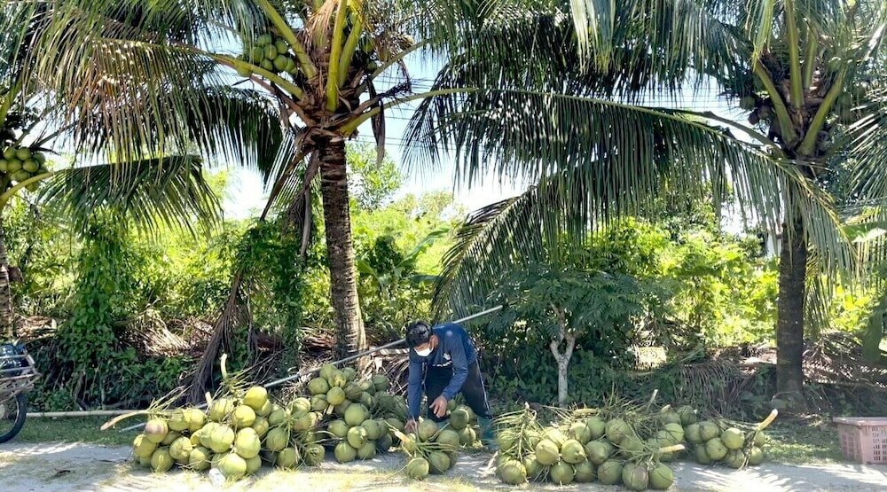 Фото Lantala Residence