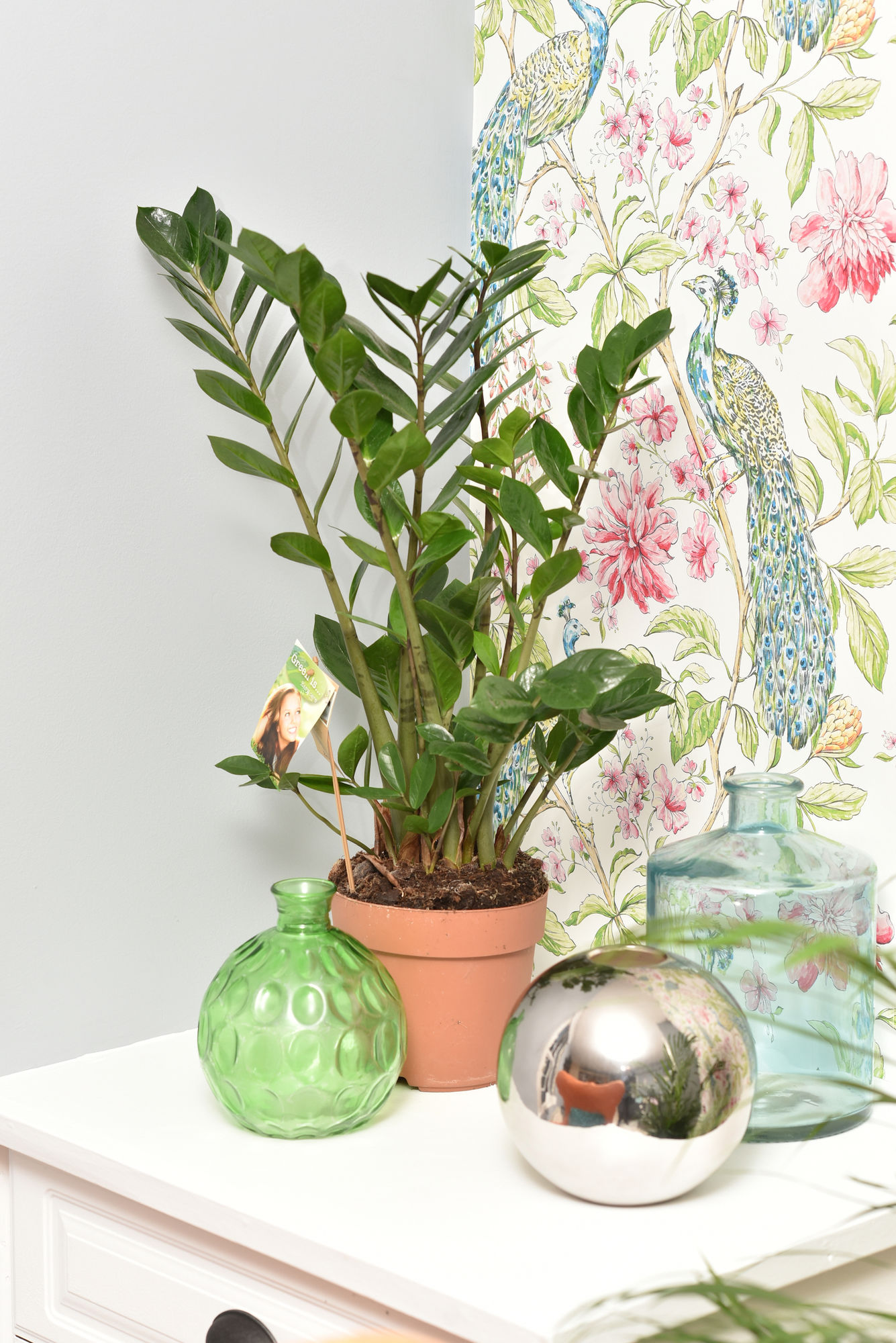 Фото Monopoly Accommodations