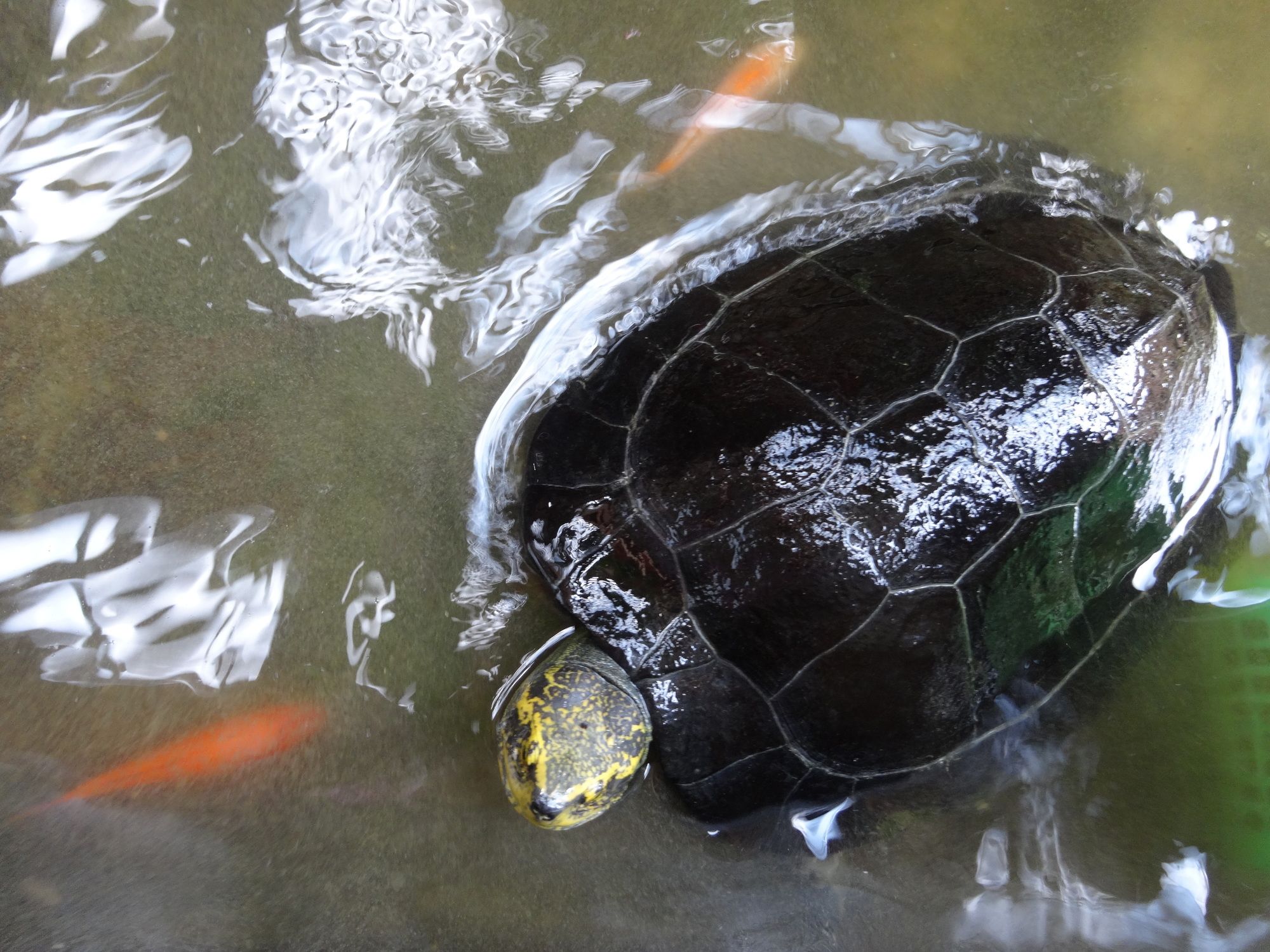 Фото Baan One Love Ayutthaya