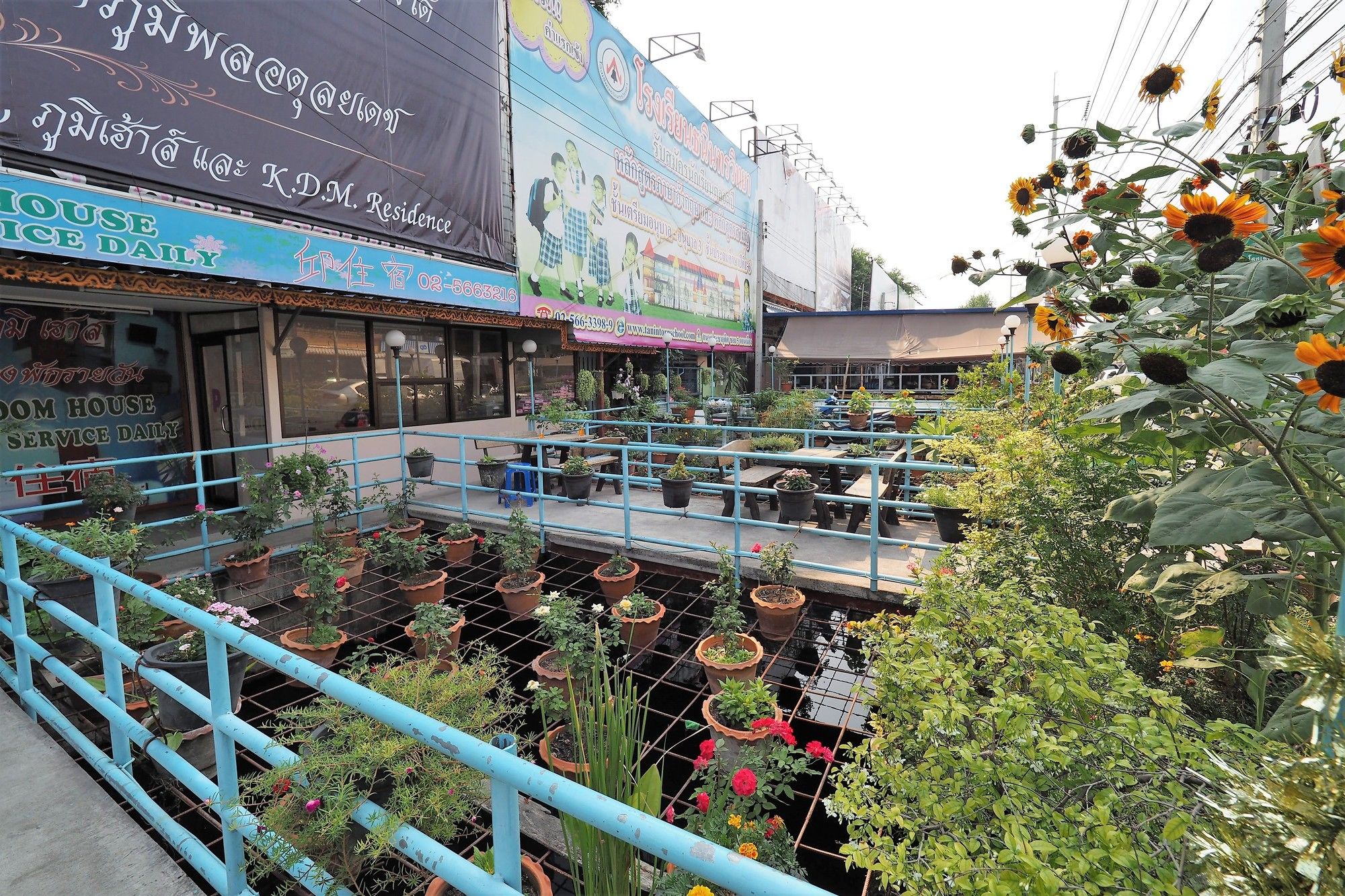 Фото Phoom House