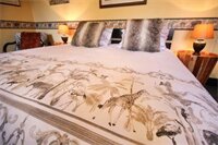 Фото Squirrels Corner