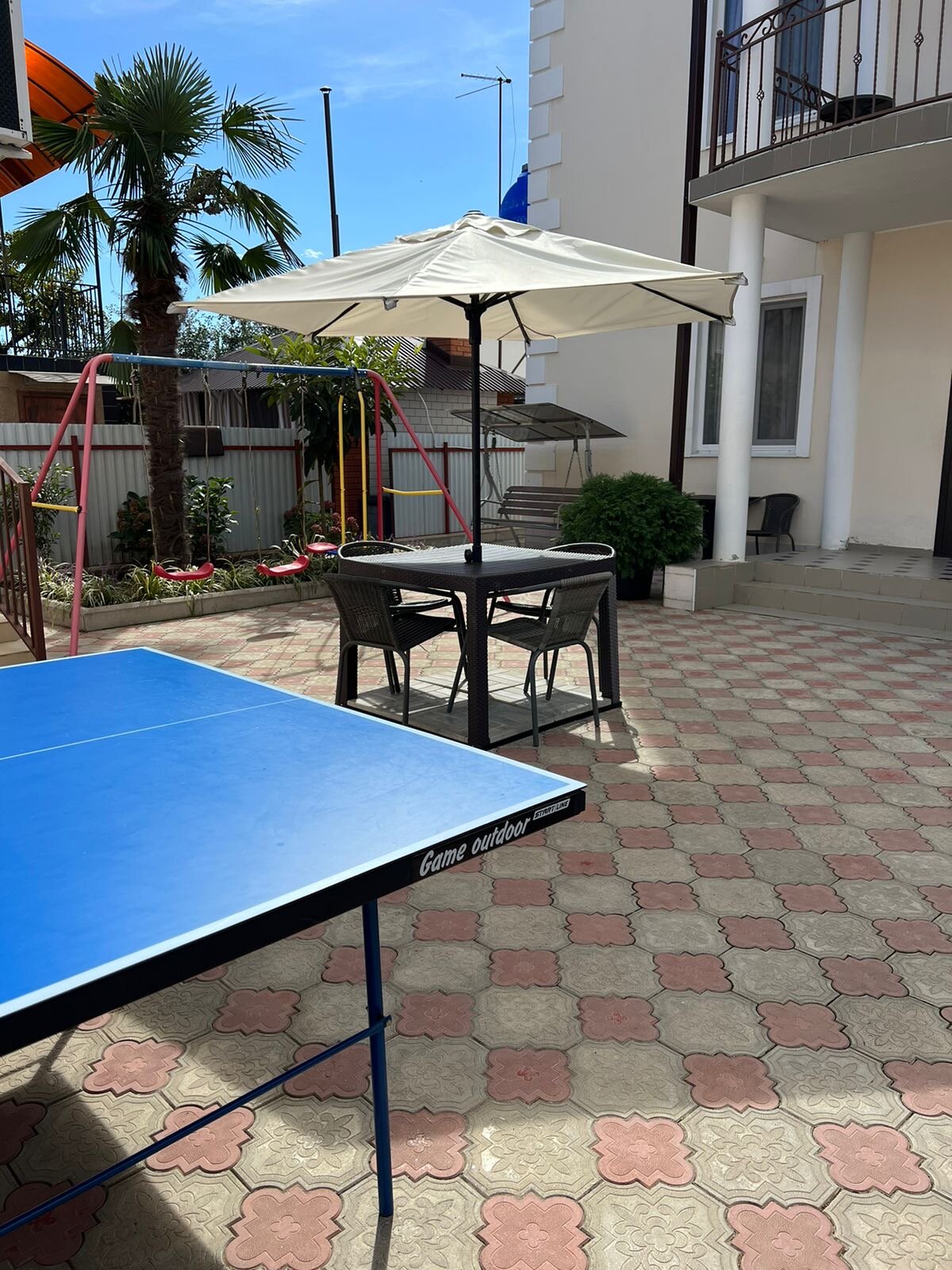 Фото Дельфин