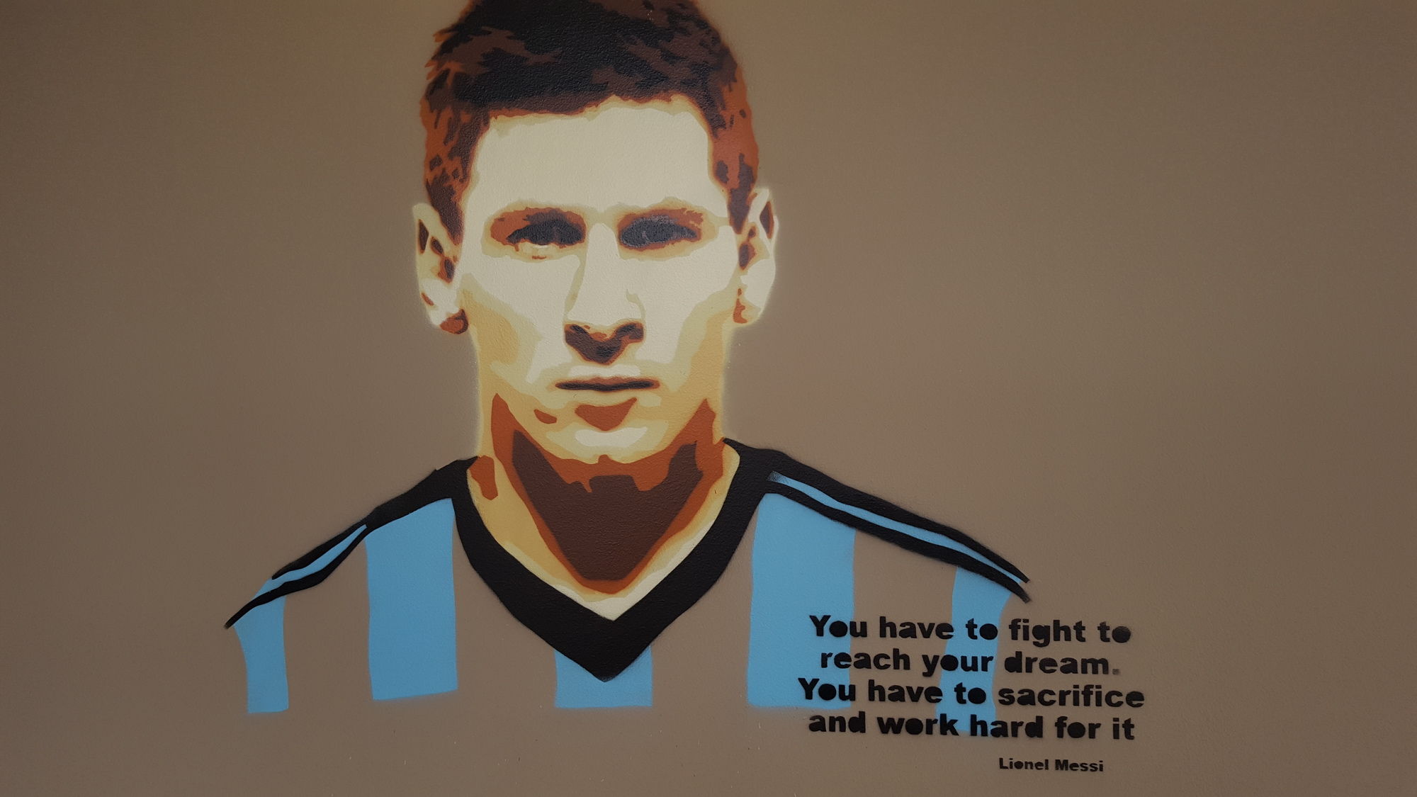 Фото Albatross Hostel