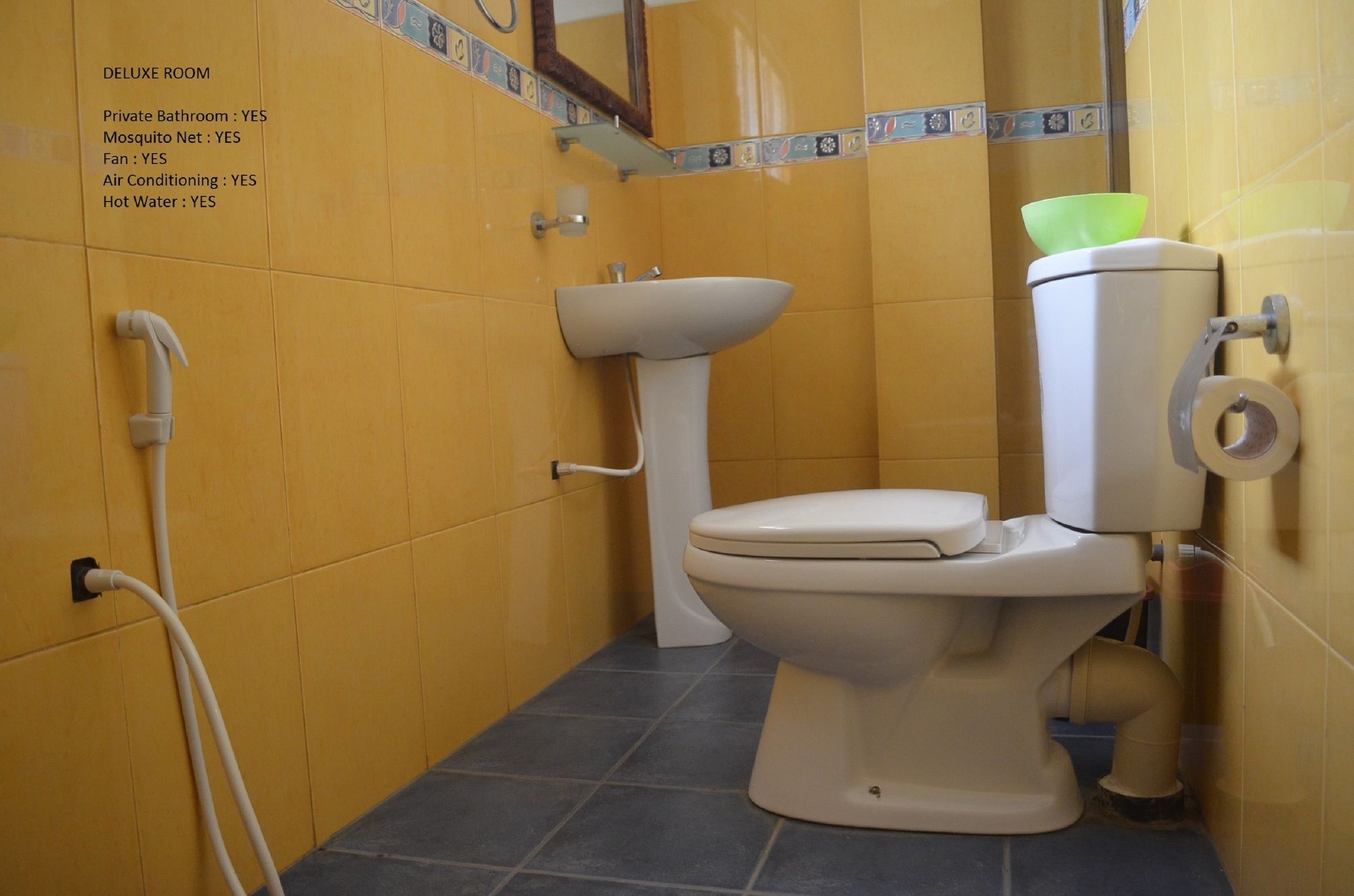 Фото Hotel Paradiso