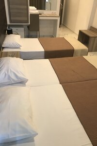 Гостиница Hotel Rex