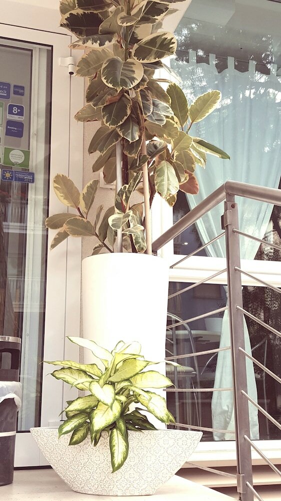 Фото Hotel Calypso